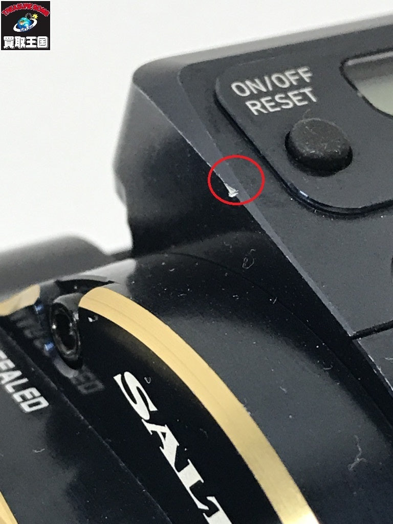 ダイワ 21ソルティガ IC300 その他リール