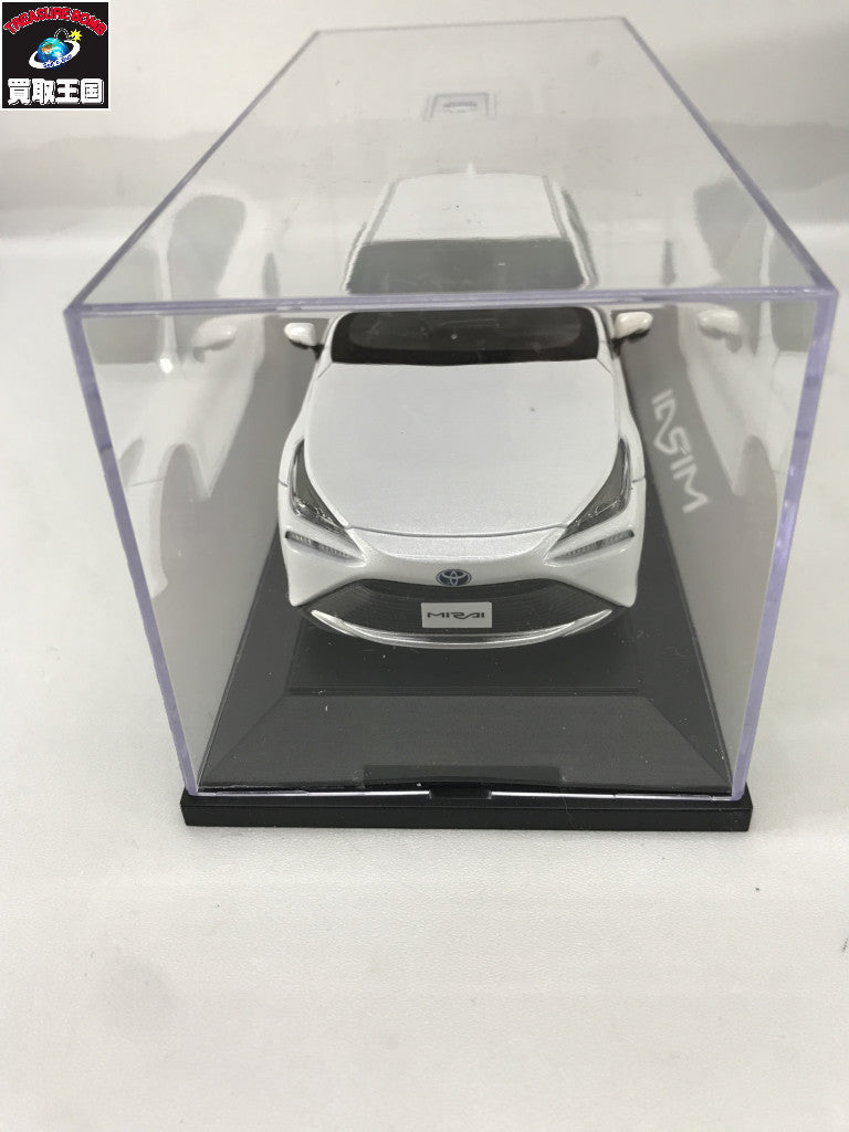 1/30 MIRAI プレシャスホワイトパール カラーサンプル