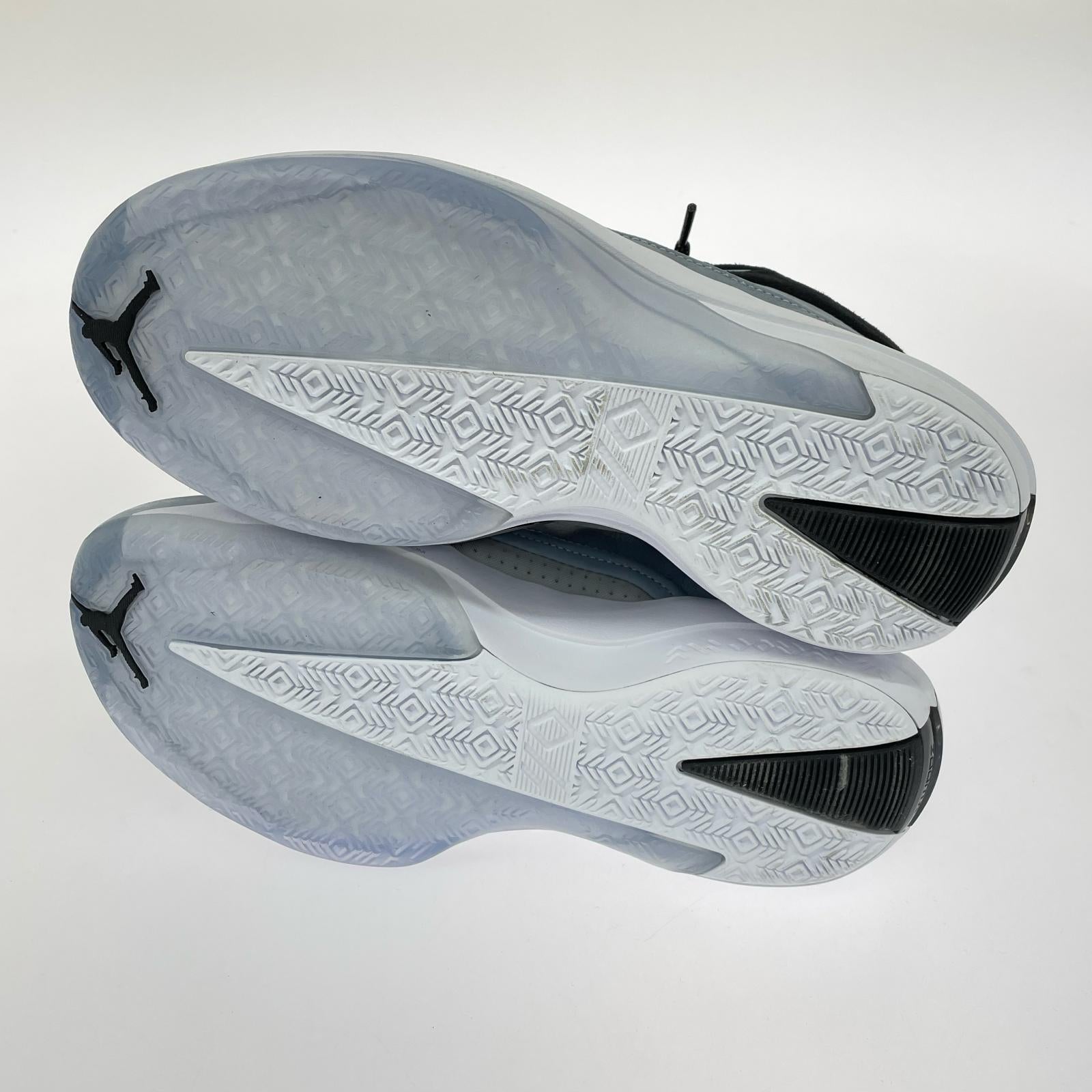 スニーカー AIR JORDAN 40 PF HM9932-400 25.5cm 25.5cm (US7 1/2 UK7 EU41)