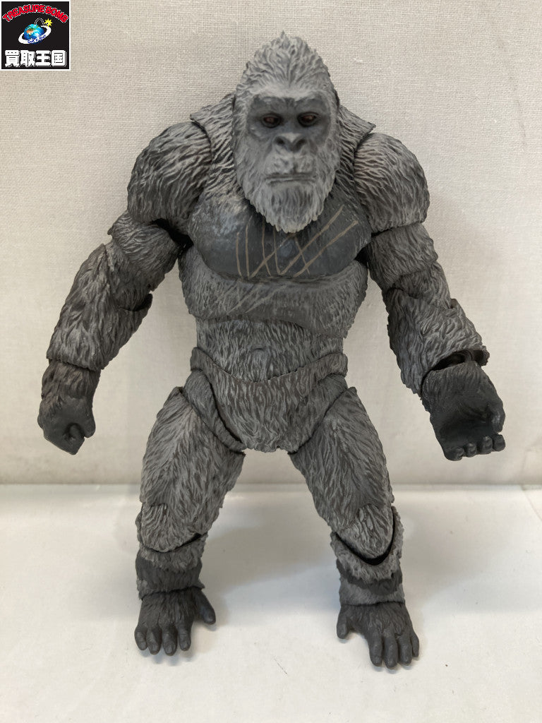 S.H.MonsterArts コング 2024 フィギュア/グッズ