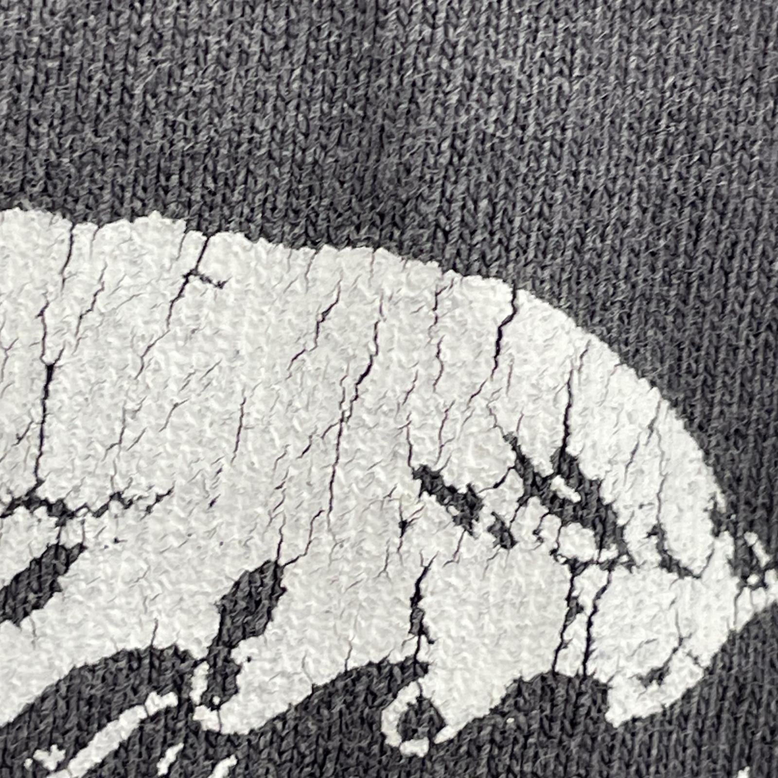 長袖Tシャツ LONG SLEEVE T-SHIRT 'SURVIVE' (XXL) グレー