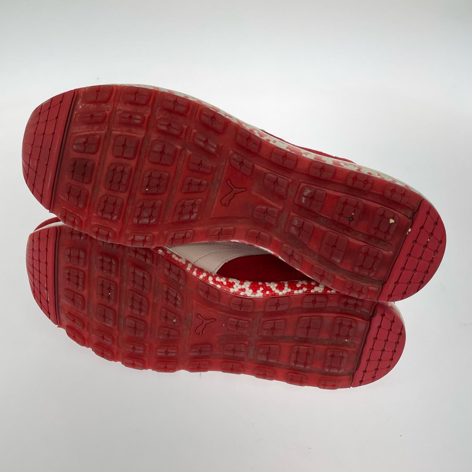 スニーカー 367832-03 JAMMING EASY RIDER (29) 29cm (US11 UK10 1/2 EU48) レッド