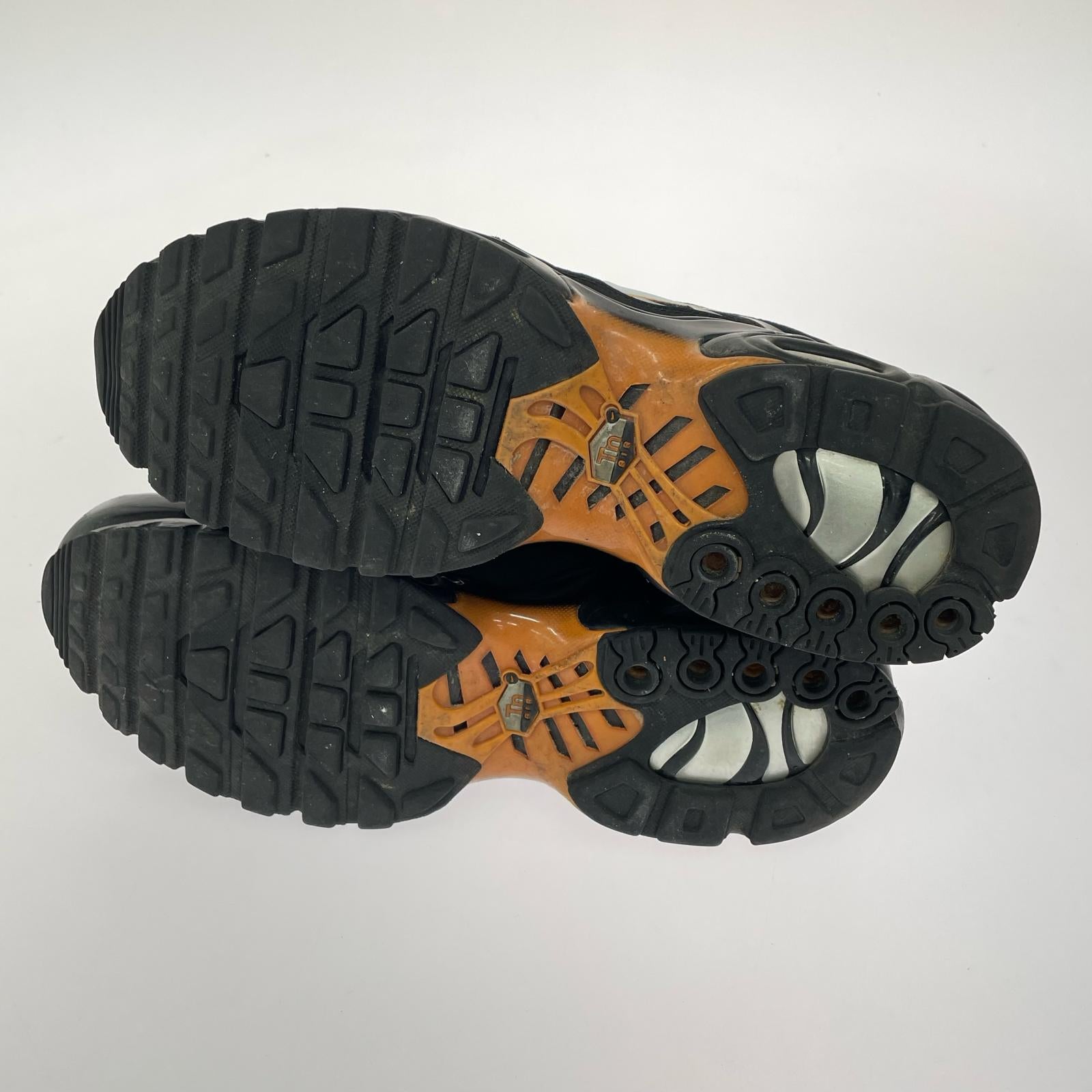 スニーカー NIKE Nike Air Max Plus FN6949-400 28cm 28cm (US10 UK9 1/2 EU46) ブラック
