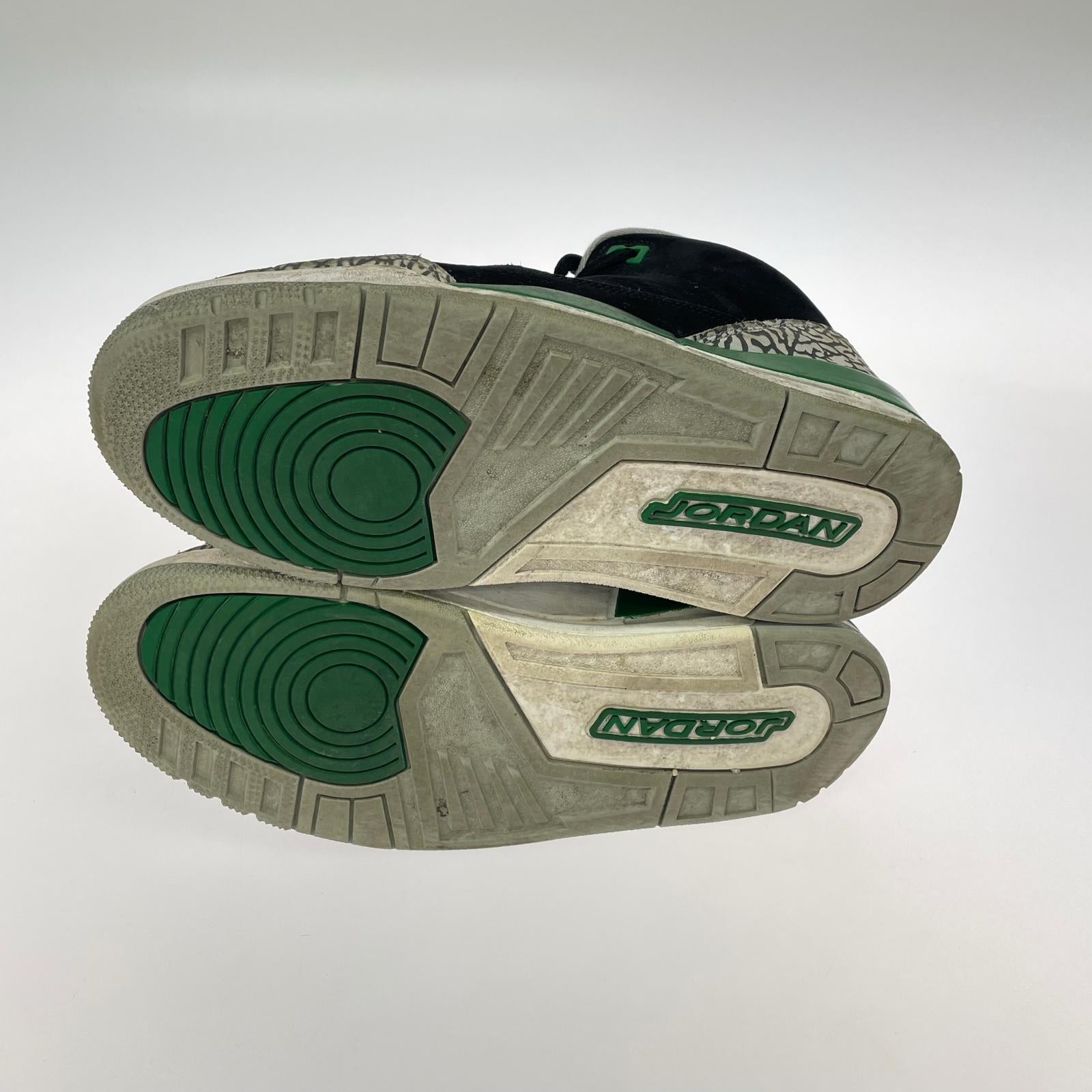 スニーカー Air Jordan 3/Pine Green/28.0 28cm (US10 UK9 1/2 EU46) ブラック