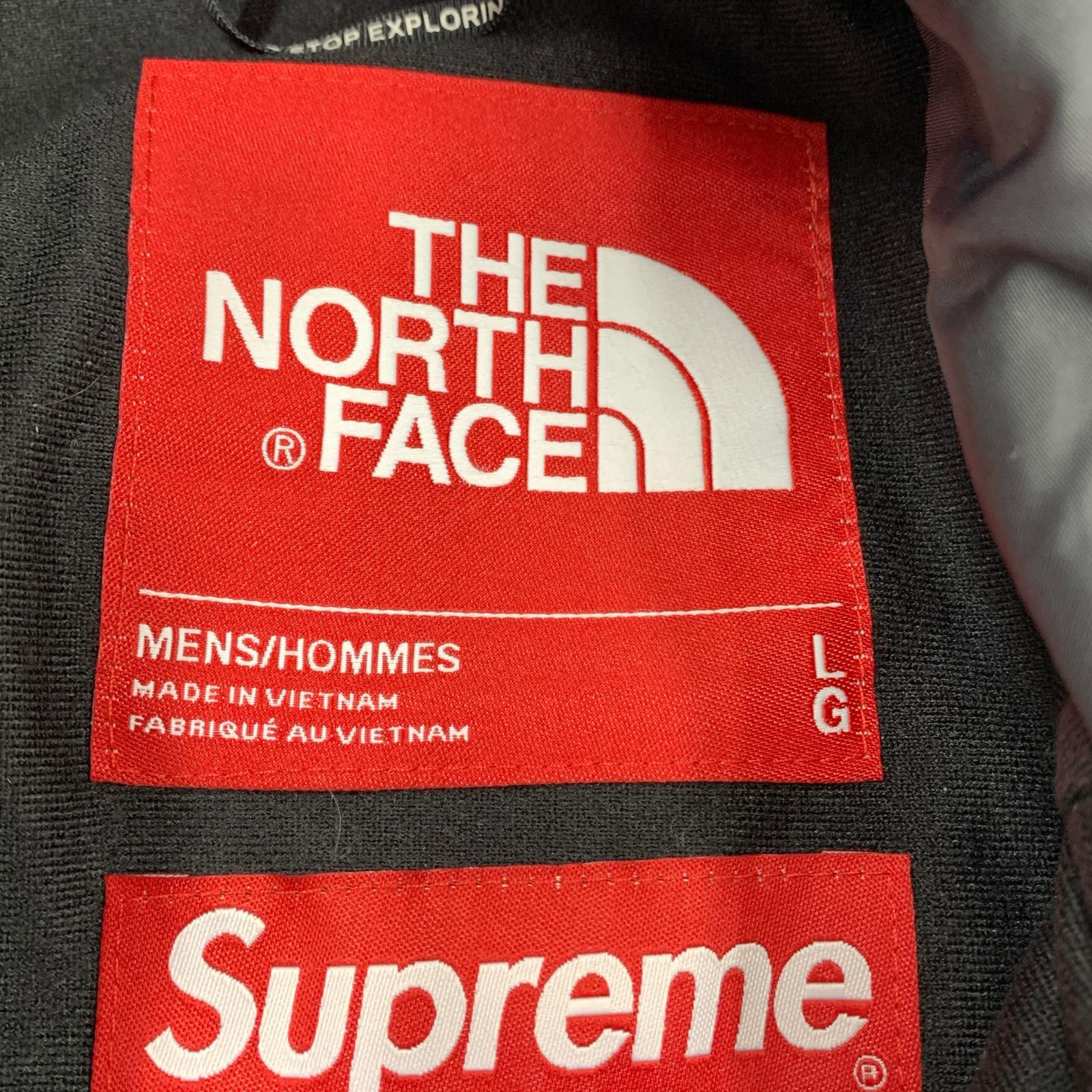 マウンテンパーカー THE NORTH FACE MOUNTAIN JACKET L ブラック
