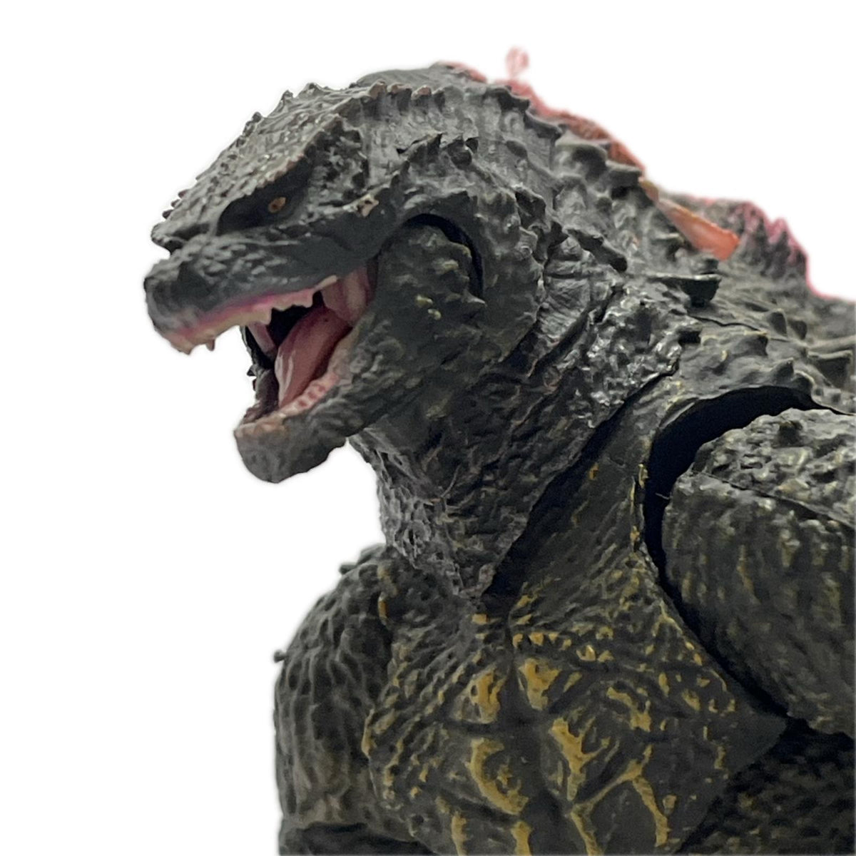 S.H.MonsterArts GODZILLA (2024) EVOLVED ゴジラ フィギュア/グッズ