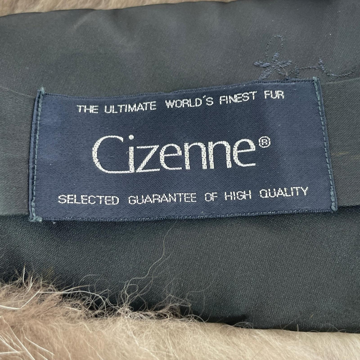 その他アクセサリー CIZENNE 銀サガ ショール ブラウン