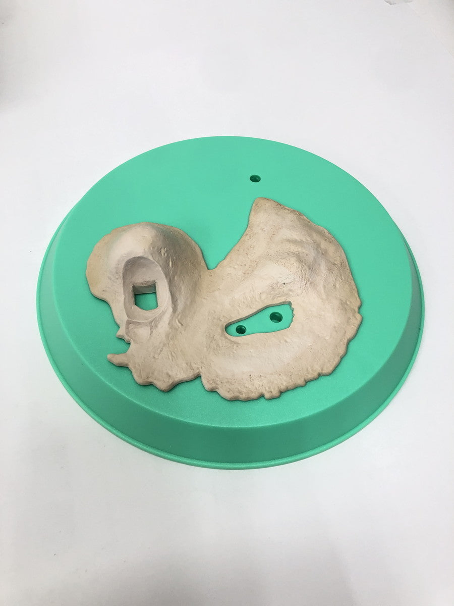 オトナナツミDXフィギュア その他小物