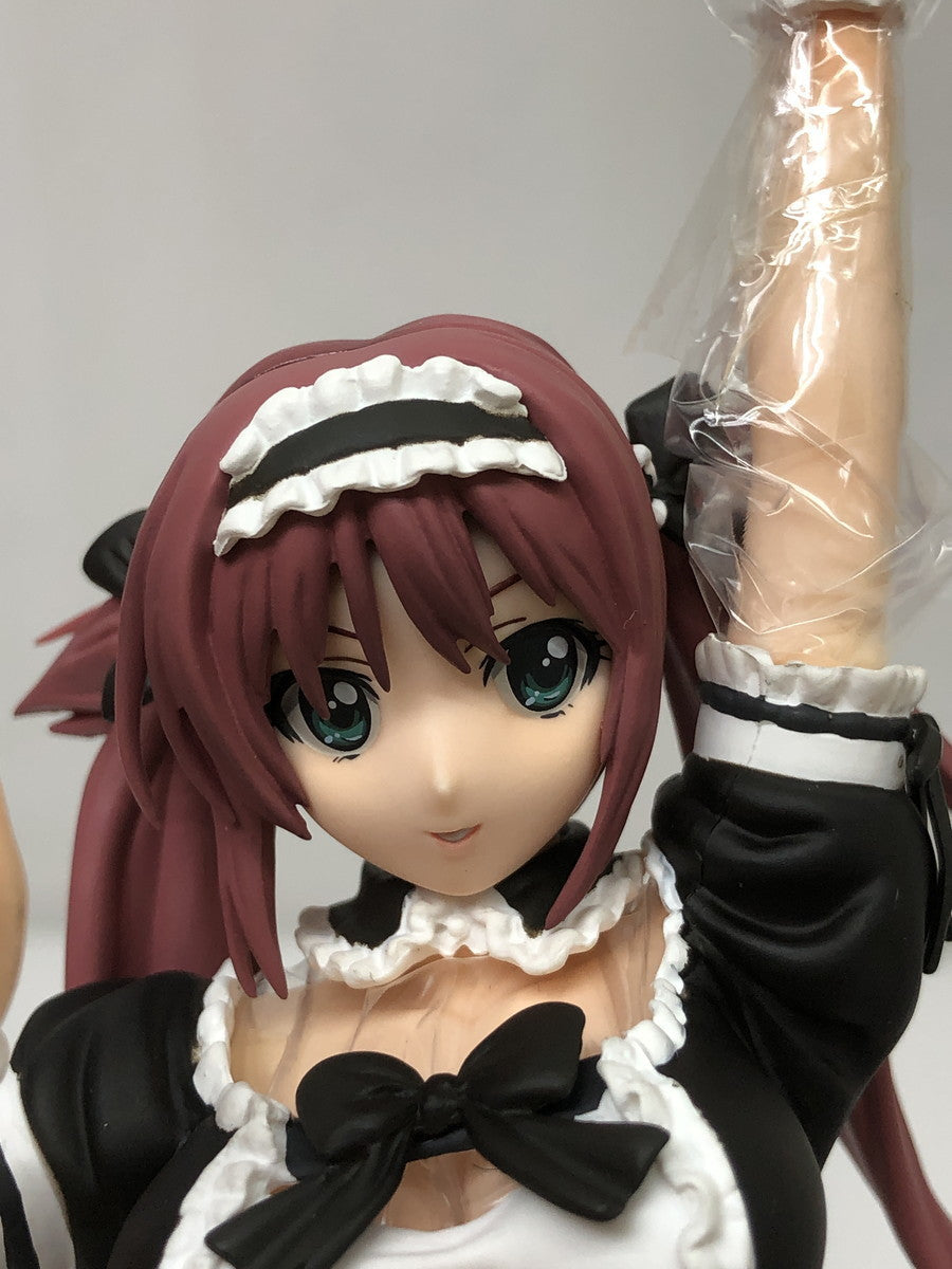 クイーンズブレイド アイリ Rその他