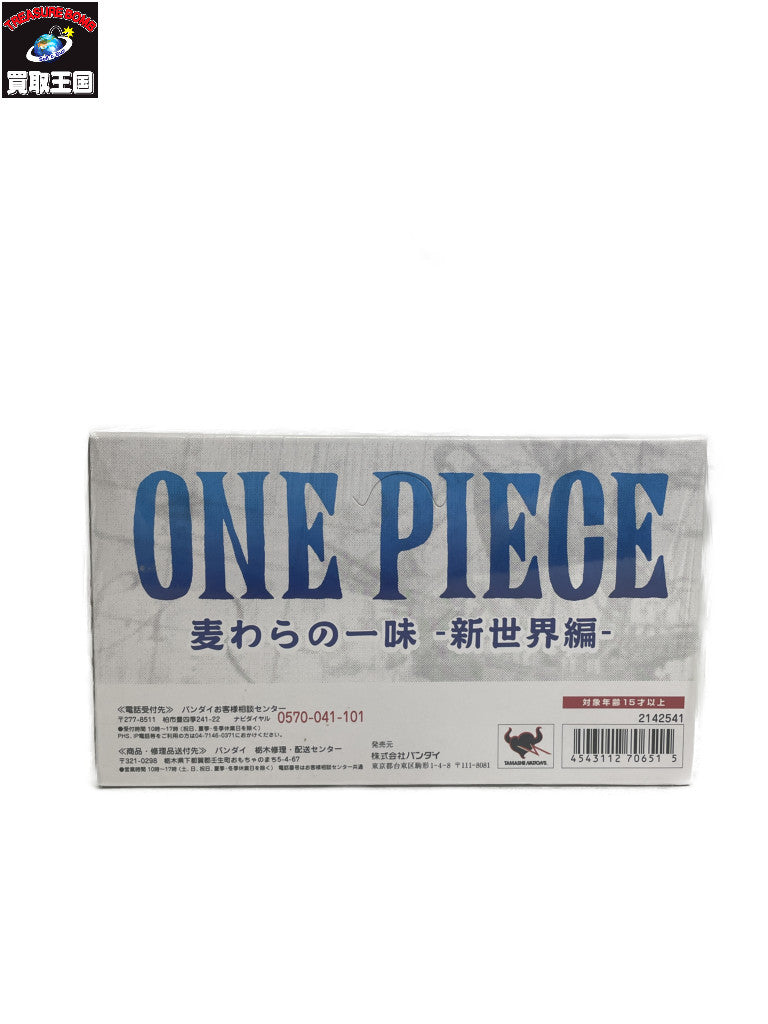 超造形魂ワンピース 麦わらの一味新世界編 フィギュア/グッズ