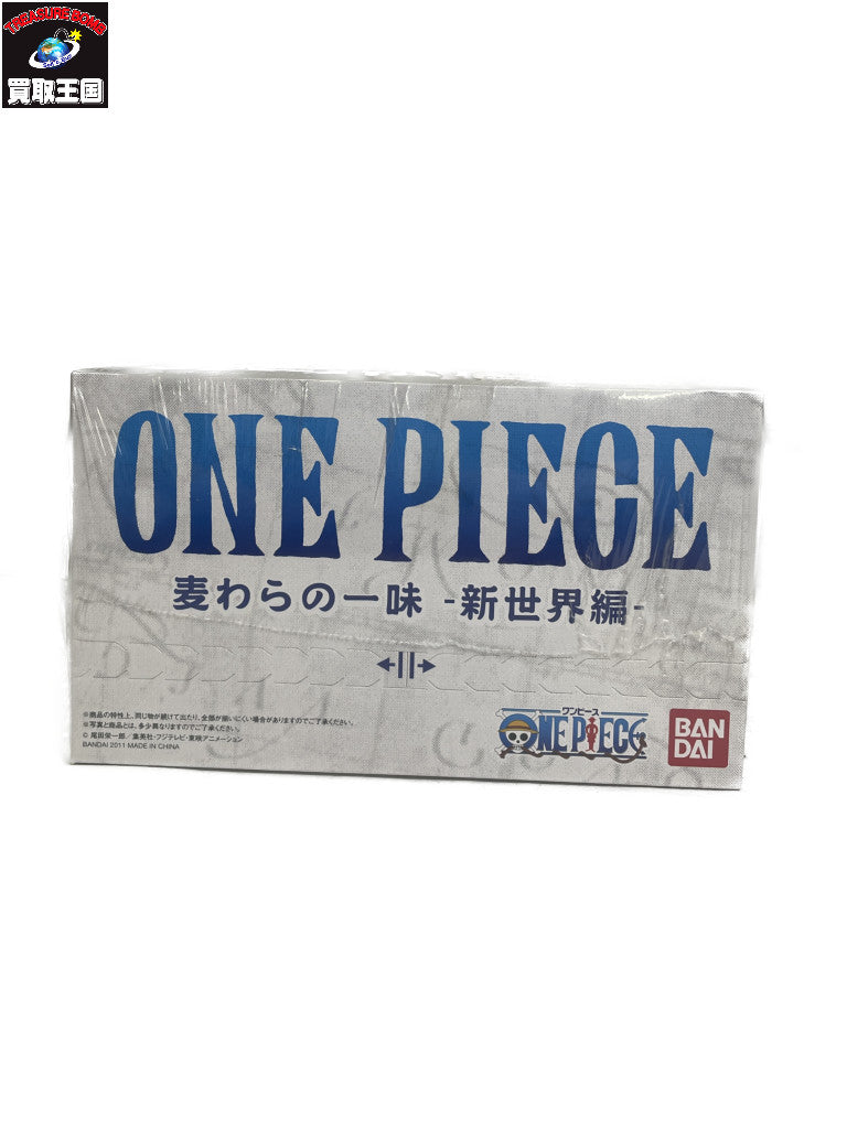 超造形魂ワンピース 麦わらの一味新世界編 フィギュア/グッズ