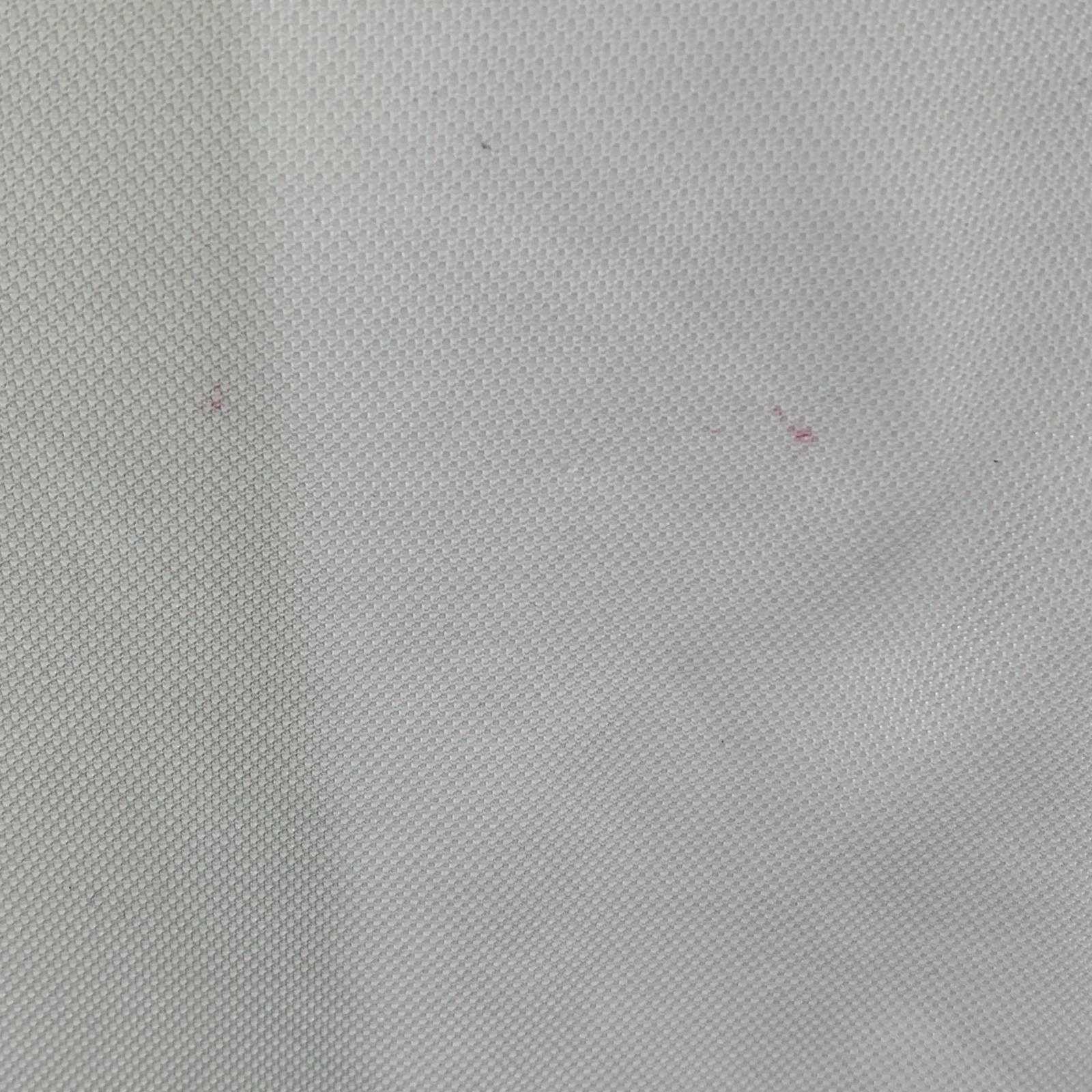 ポロシャツ AGASSI USA製 白(L) L ホワイト