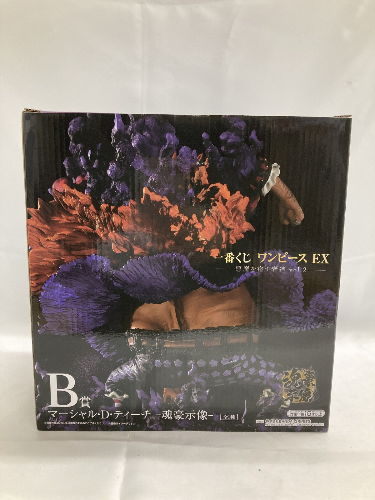 B賞 ティーチ 魂豪示像 フィギュア/グッズ
