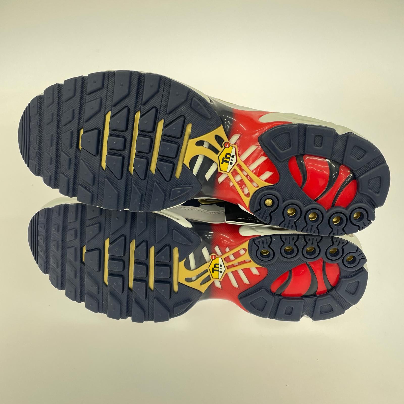 スニーカー Paris Saint-Germain×Nike Air Max Plus 28.5cm (US10 1/2 UK10 EU47)