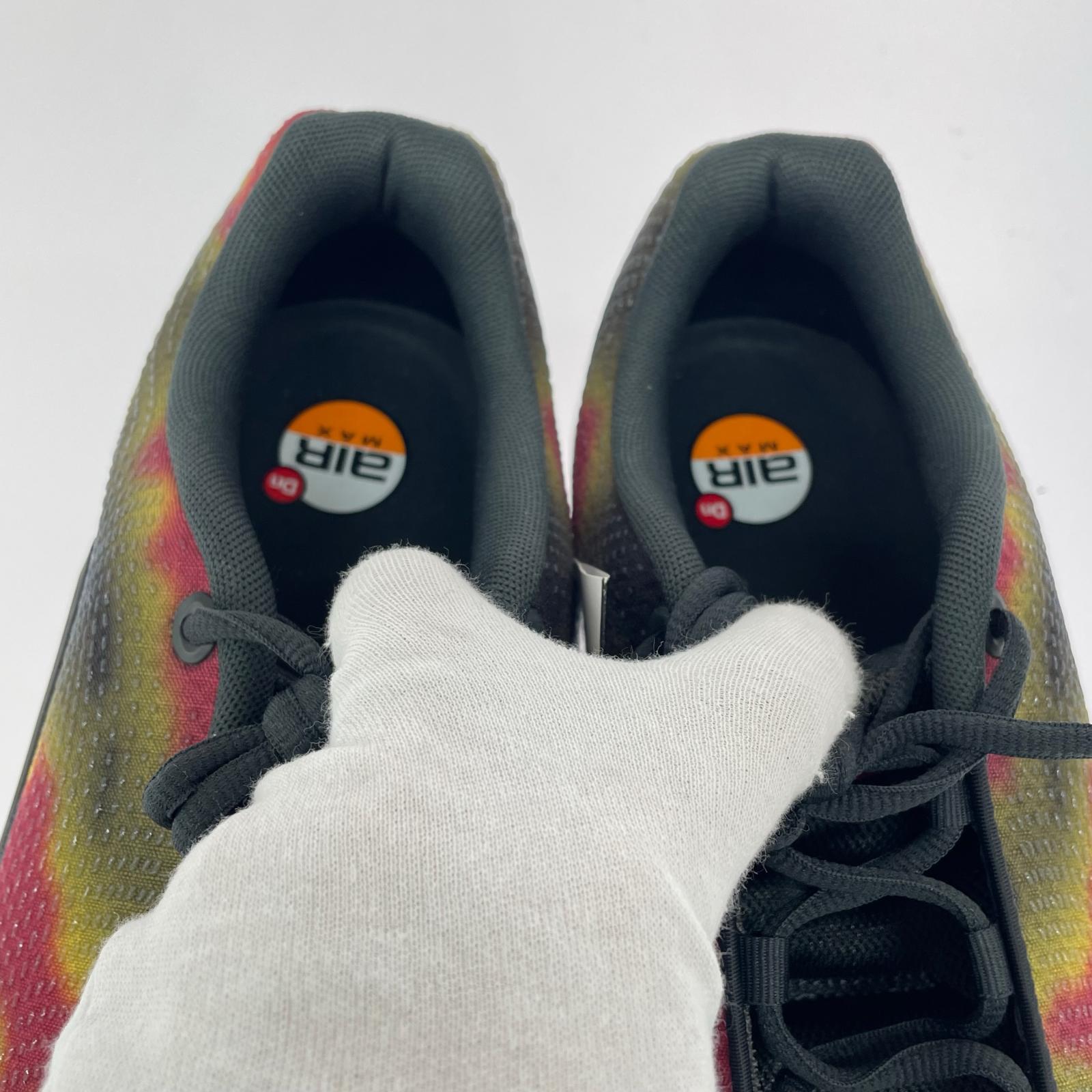 スニーカー Air Max DN (30.0) IB7025-001 30cm (US12 UK11 1/2 EU50) マルチカラー