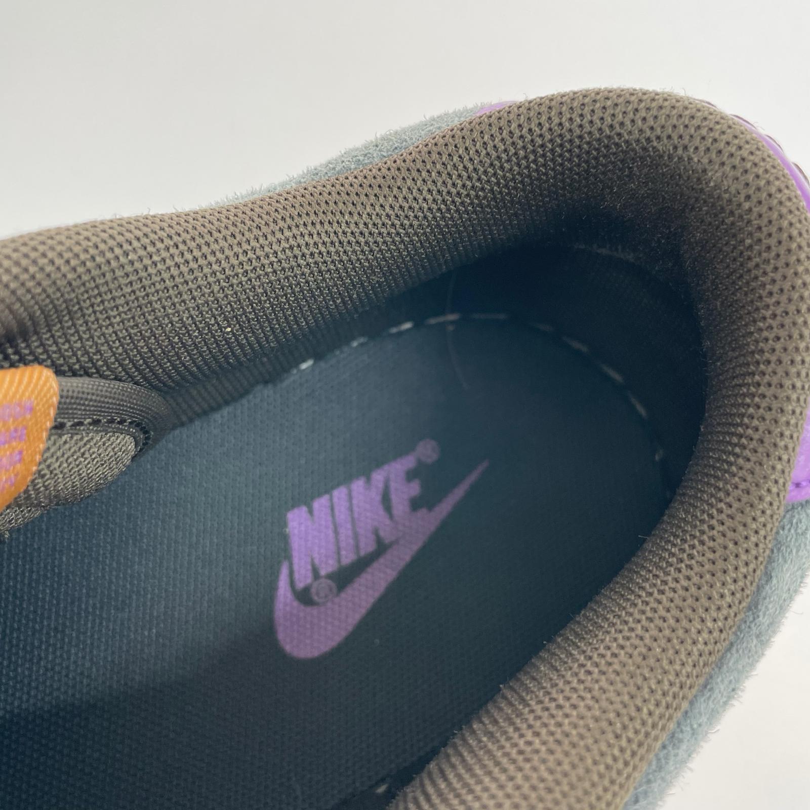 スニーカー NIKE DUNK LOW RETRO PRM CIDER 28cm (US10 UK9 1/2 EU46) ブラウン