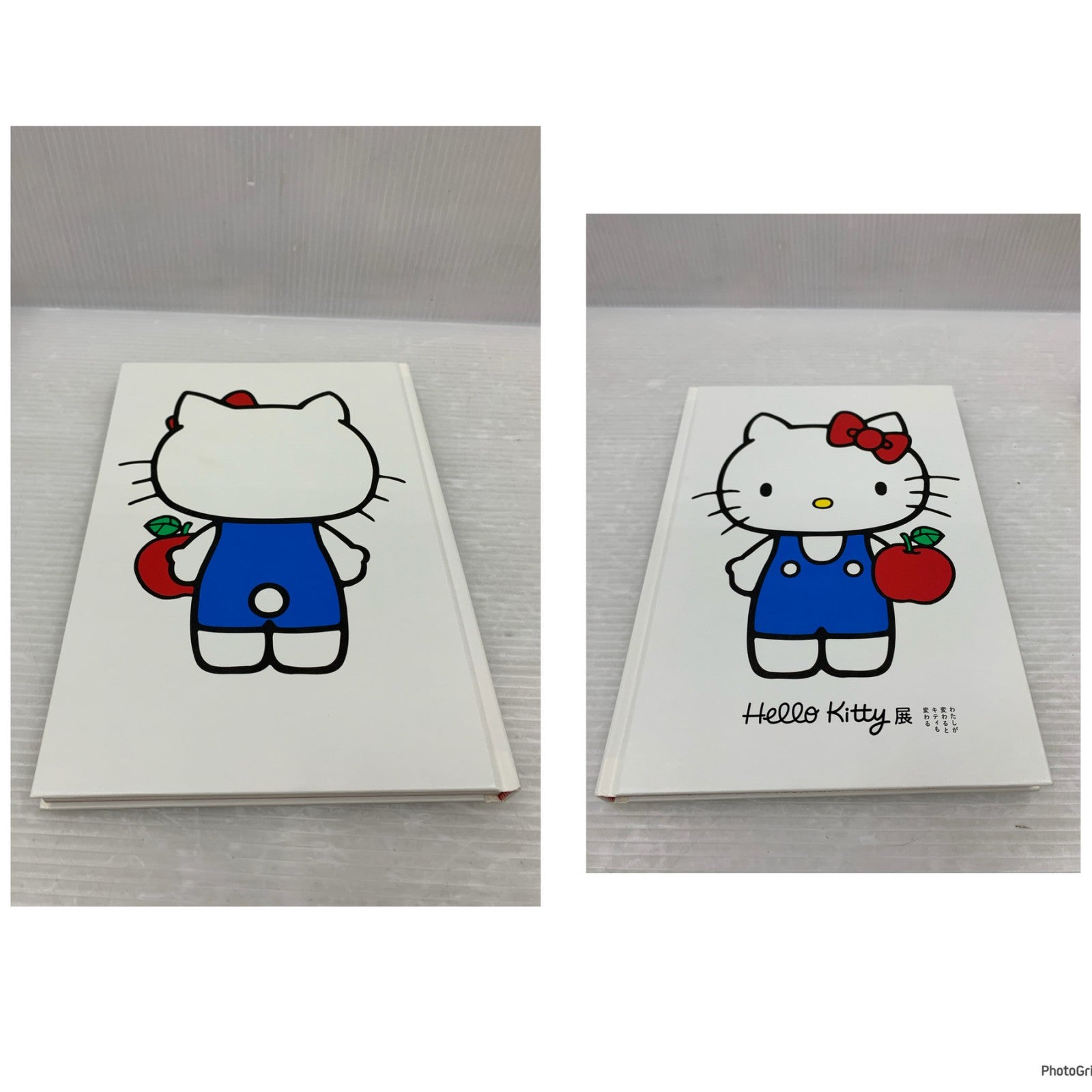 Hellokitty展 キャラクターブック フィギュア/グッズ