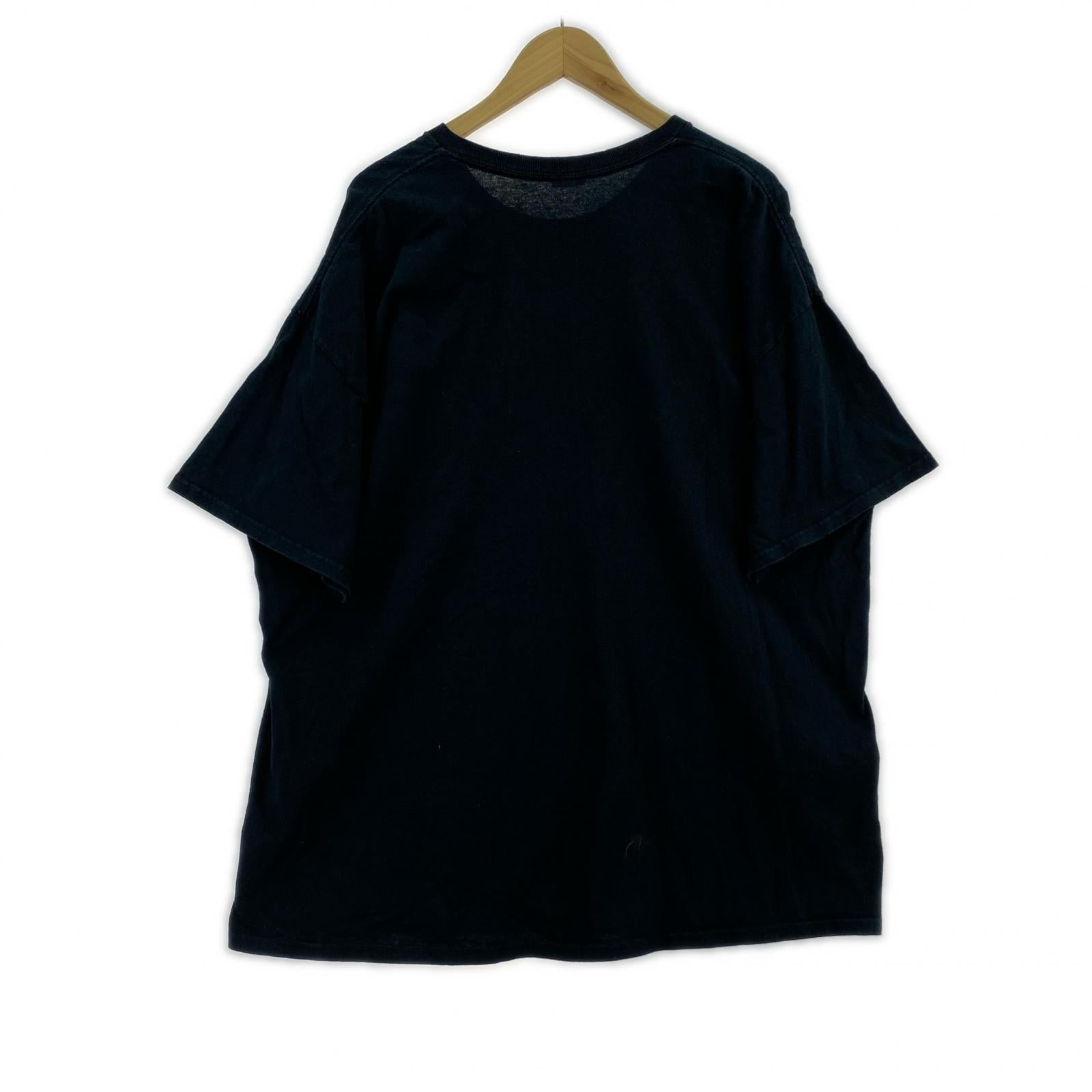 半袖Tシャツ 00s GILDAN Thunder Eagle ブラック