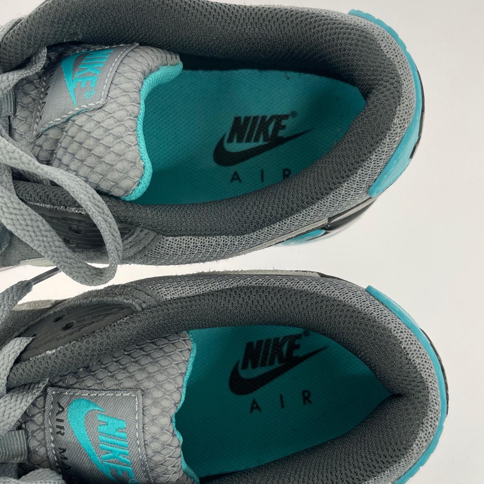 スニーカー NIKE Air Max 90 Cool Grey Wolf Grey Dusty Cactus DM0029-013 (27.5) 27.5cm (US9 1/2 UK9 EU45) グレー