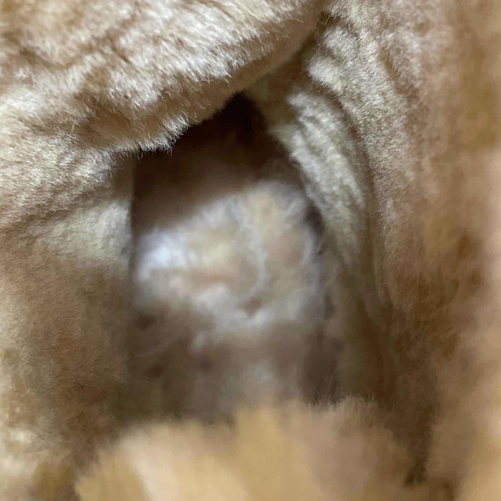 ブーツ UGG ブーツ 23cm (US5 UK4 1/2 EU36) ブラウン