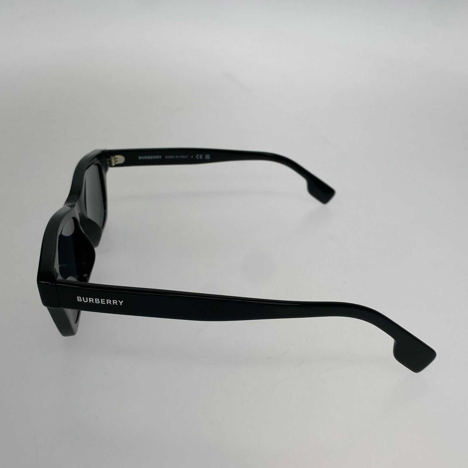 その他アクセサリー 3001/87 サングラス 黒