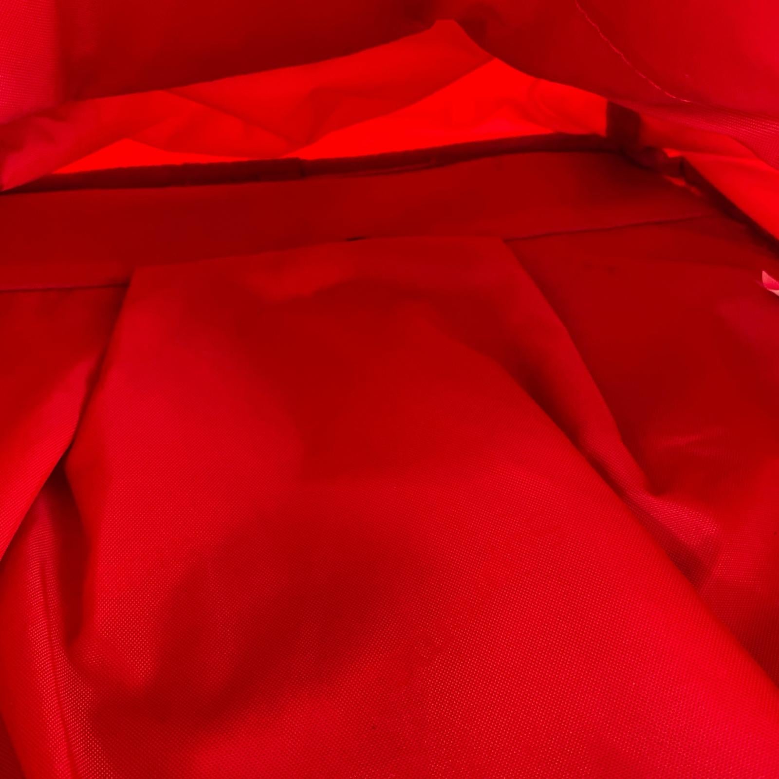 リュック・デイパック 22AW レッド