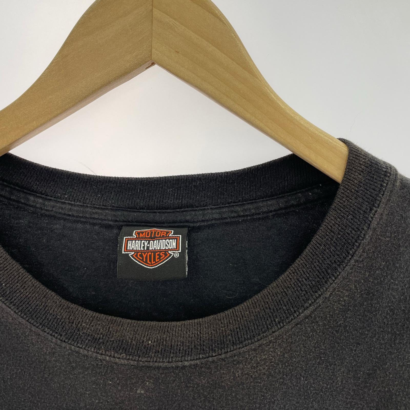 長袖Tシャツ 袖プリント ファイアパターン ブラック