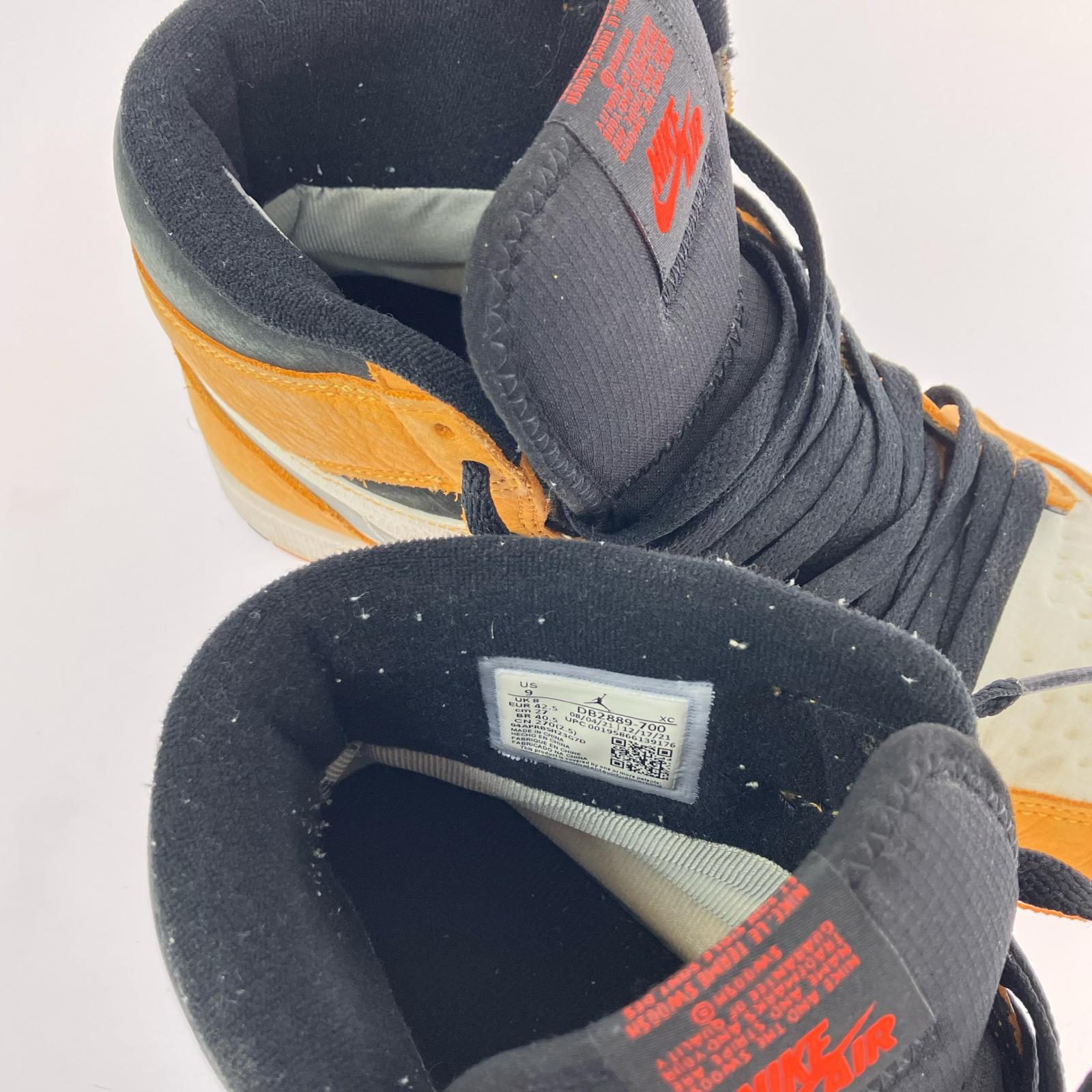 スニーカー AJ1 Element GTX "Light Curry"(27.0cm) 27cm (US9 UK8 1/2 EU44)
