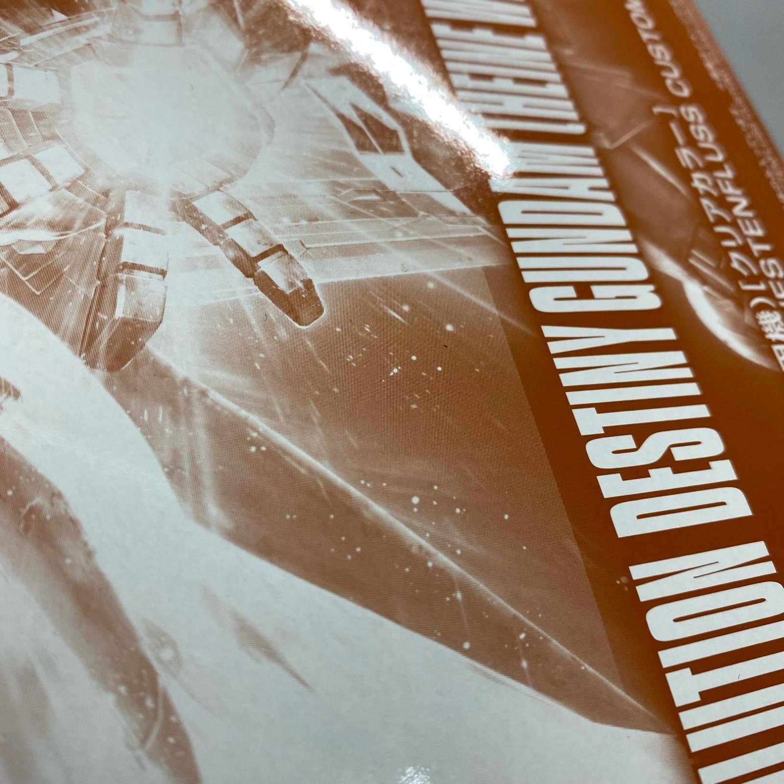 HG デスティニーガンダム ハイネ専用機 クリアカラー 機動戦士ガンダムSEEDDESTINY/シードデスティニー バンダイ ガンプラ