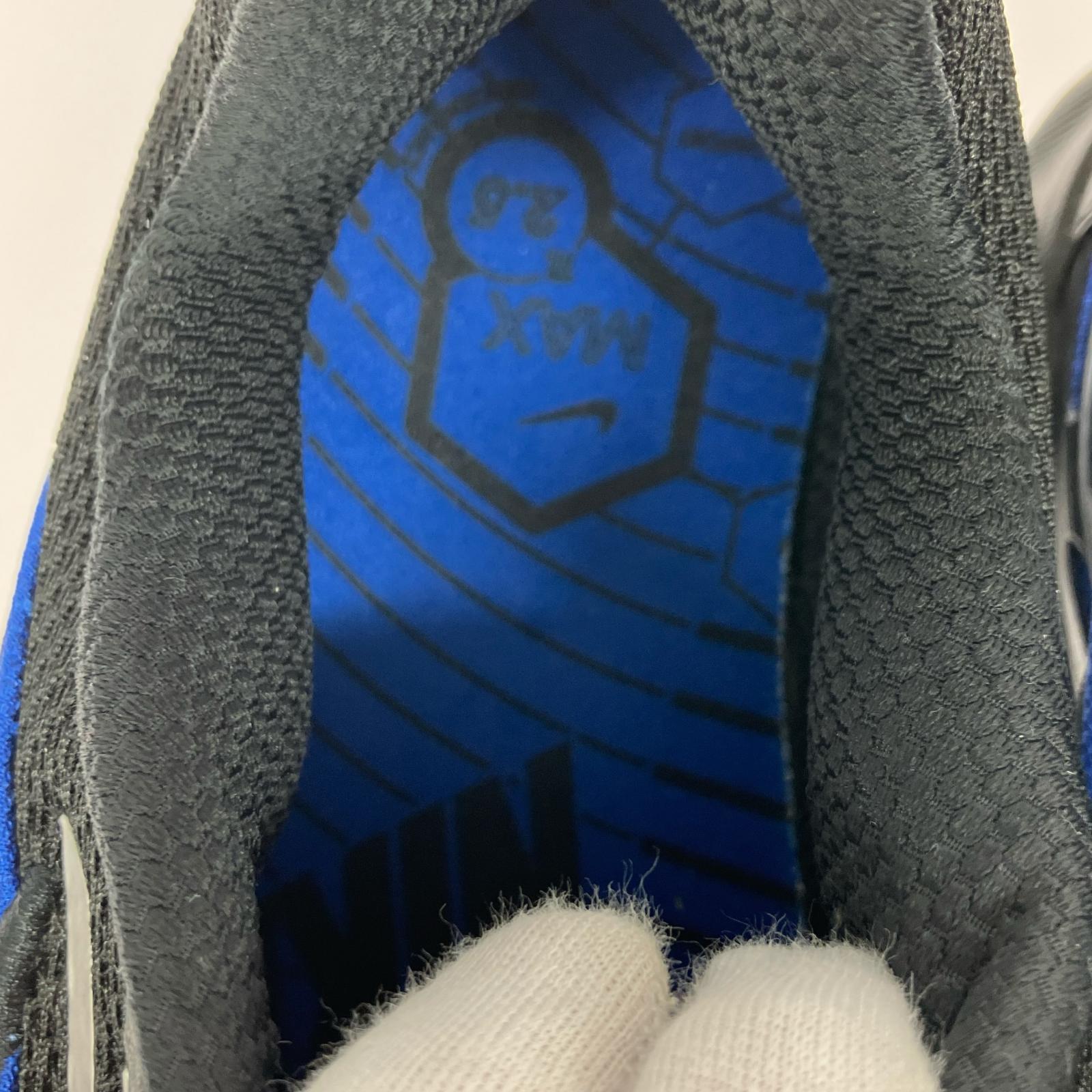スニーカー AIR MAX TL 2.5 29cm 29cm (US11 UK10 1/2 EU48) ブラック