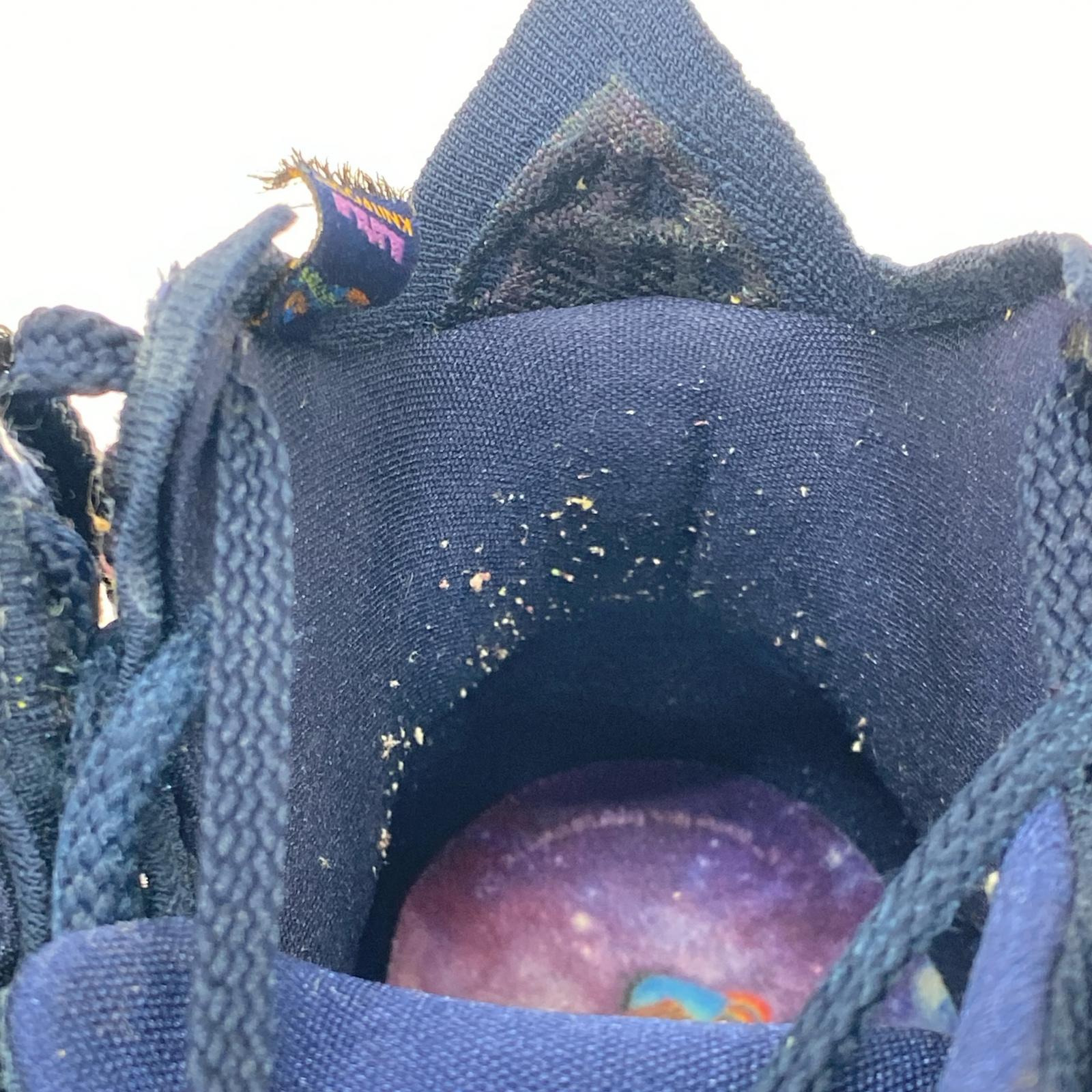 シューズ LEBRON 17 AS (28㎝) CD5050-400