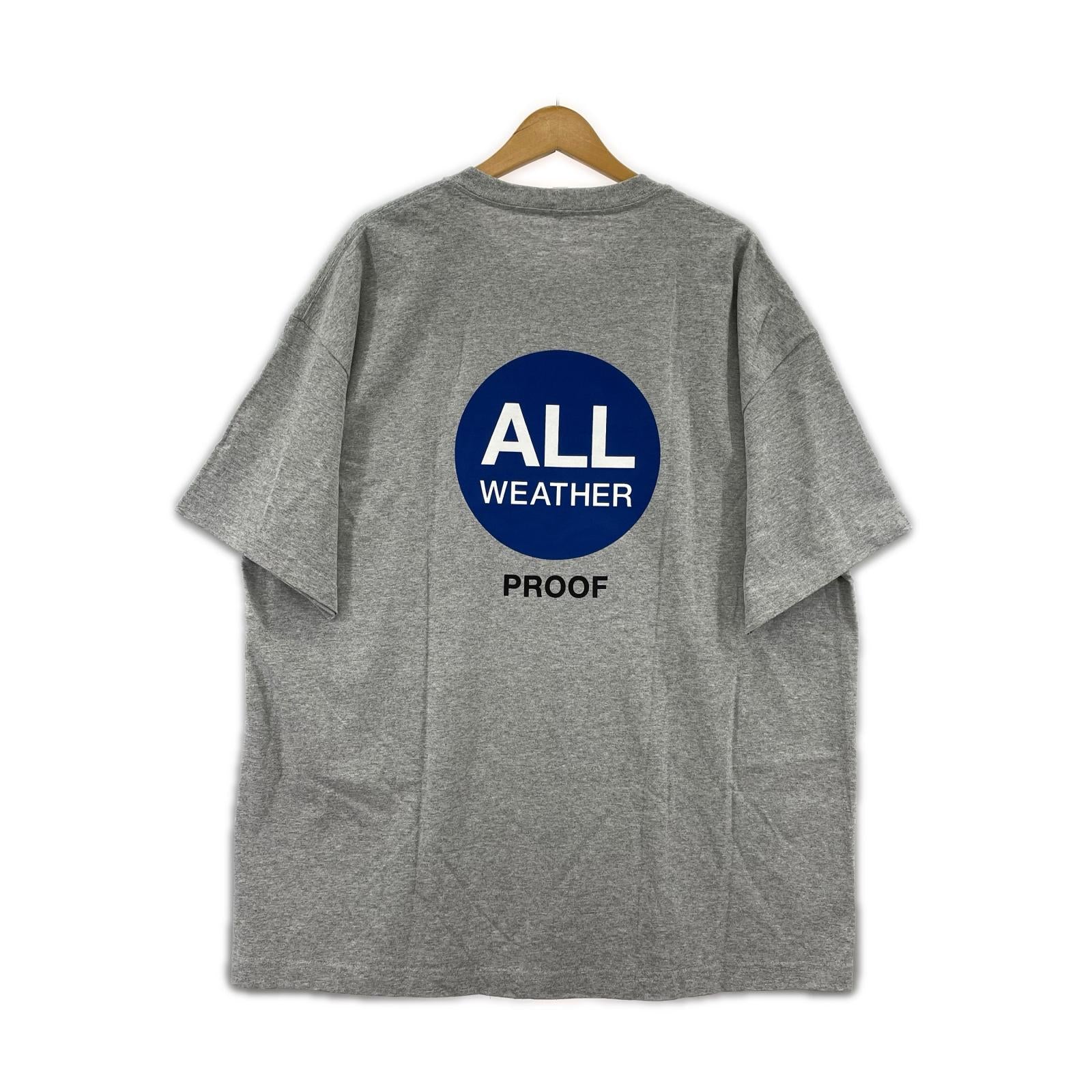半袖Tシャツ ALWAYTH プリントTee 2XL グレー グレー