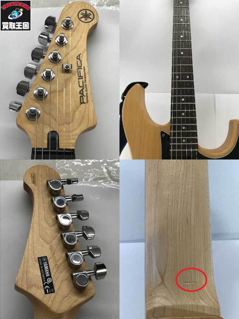 PACIFICA YAMAHA Guitar Development ギター