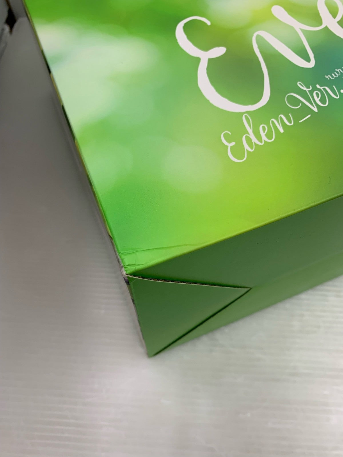 イヴ・EDEN_Ver. 1/6フィギュア フィギュア/グッズ