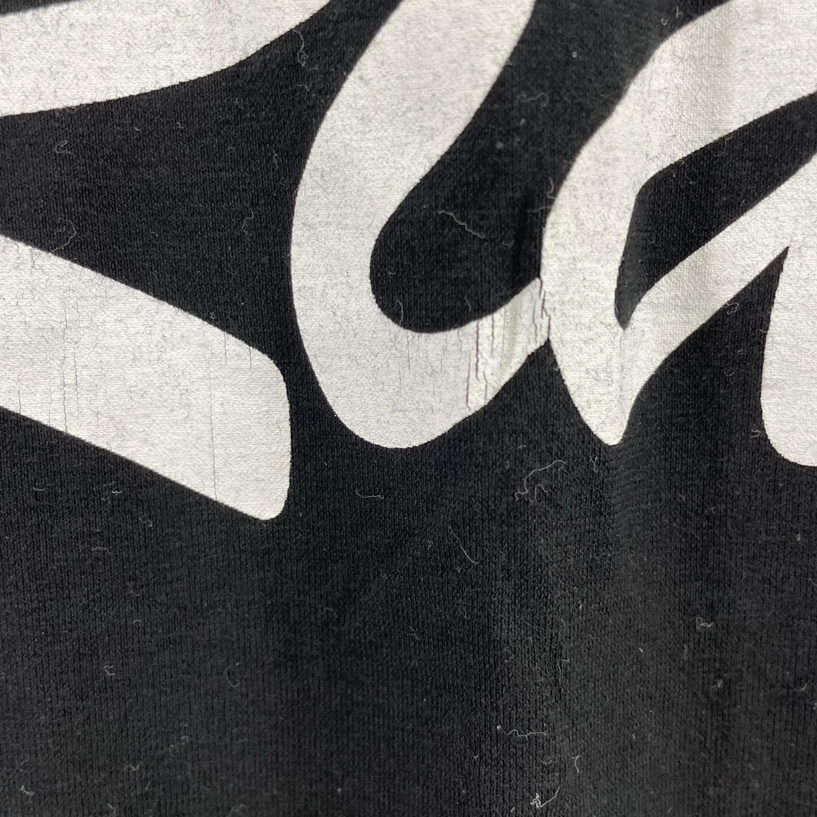 長袖Tシャツ SAETTA FLYING EAGLE L/S Tee XL BLK ブラック