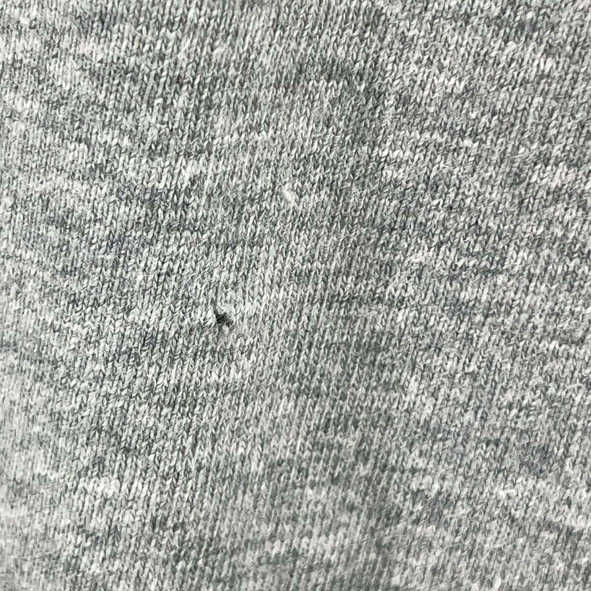 半袖Tシャツ 虎Tee グレー