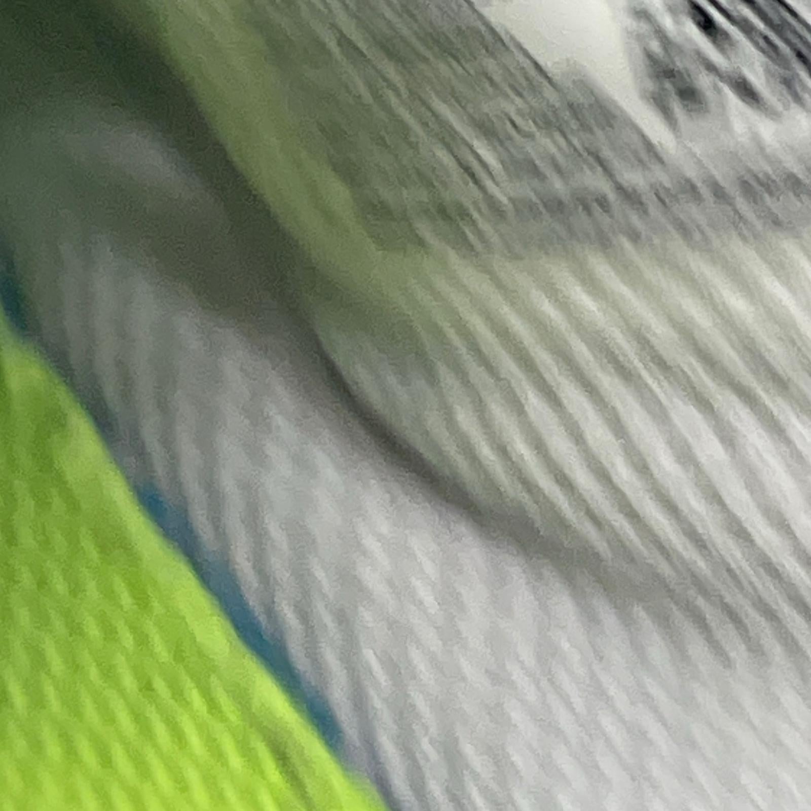 スニーカー Air Force 1 '07 Next Nature(29.0) 29cm (US11 UK10 1/2 EU48) ホワイト