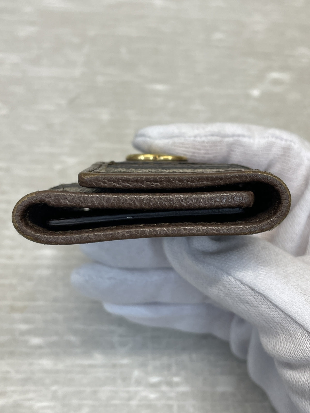 GUCCI オフディア GGスプリーム PVC キーケース 603732