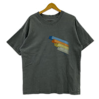 半袖Tシャツ tony hawk/pigment print/GRY L