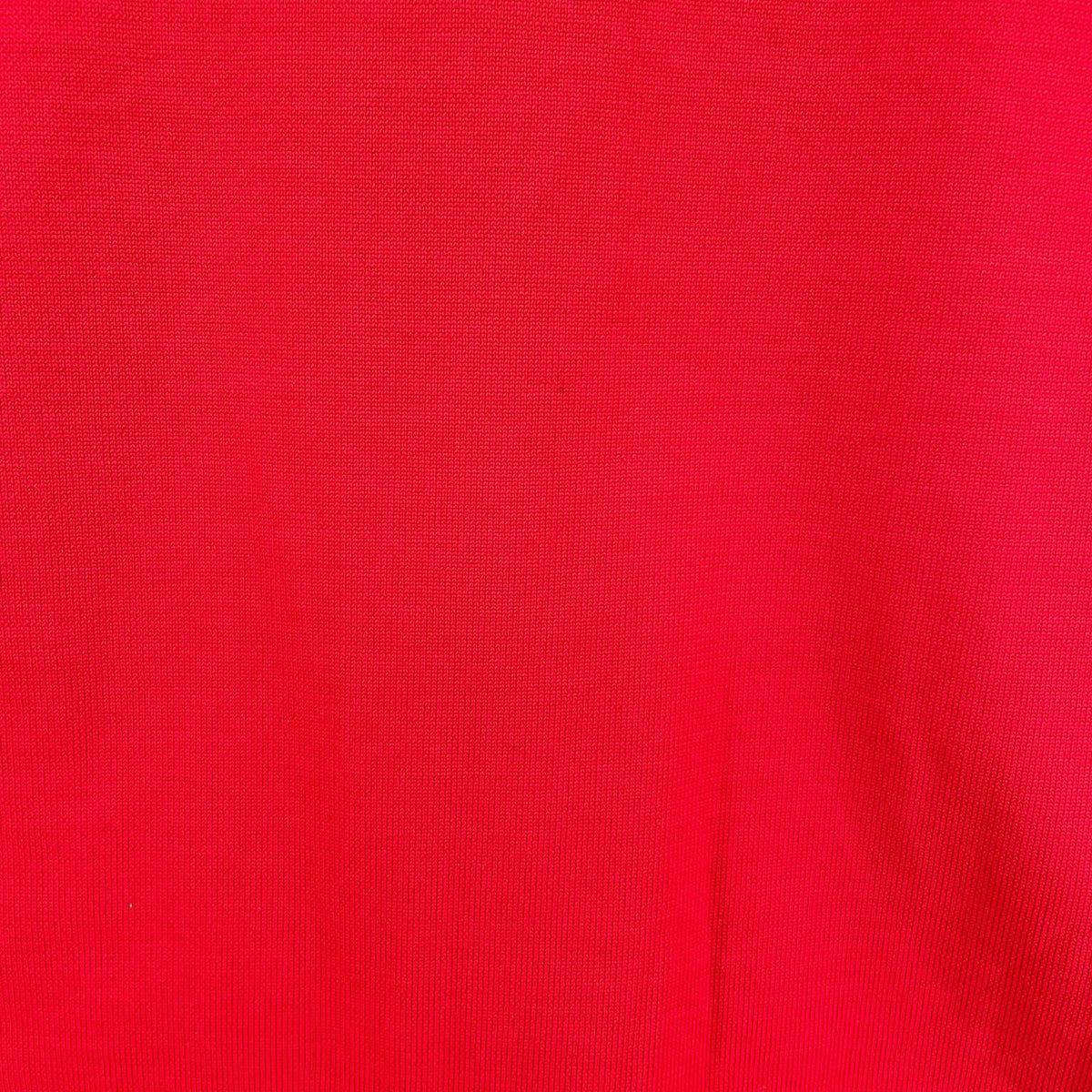 ポロシャツ ECOPET POLO KNIT 赤 (L) L レッド