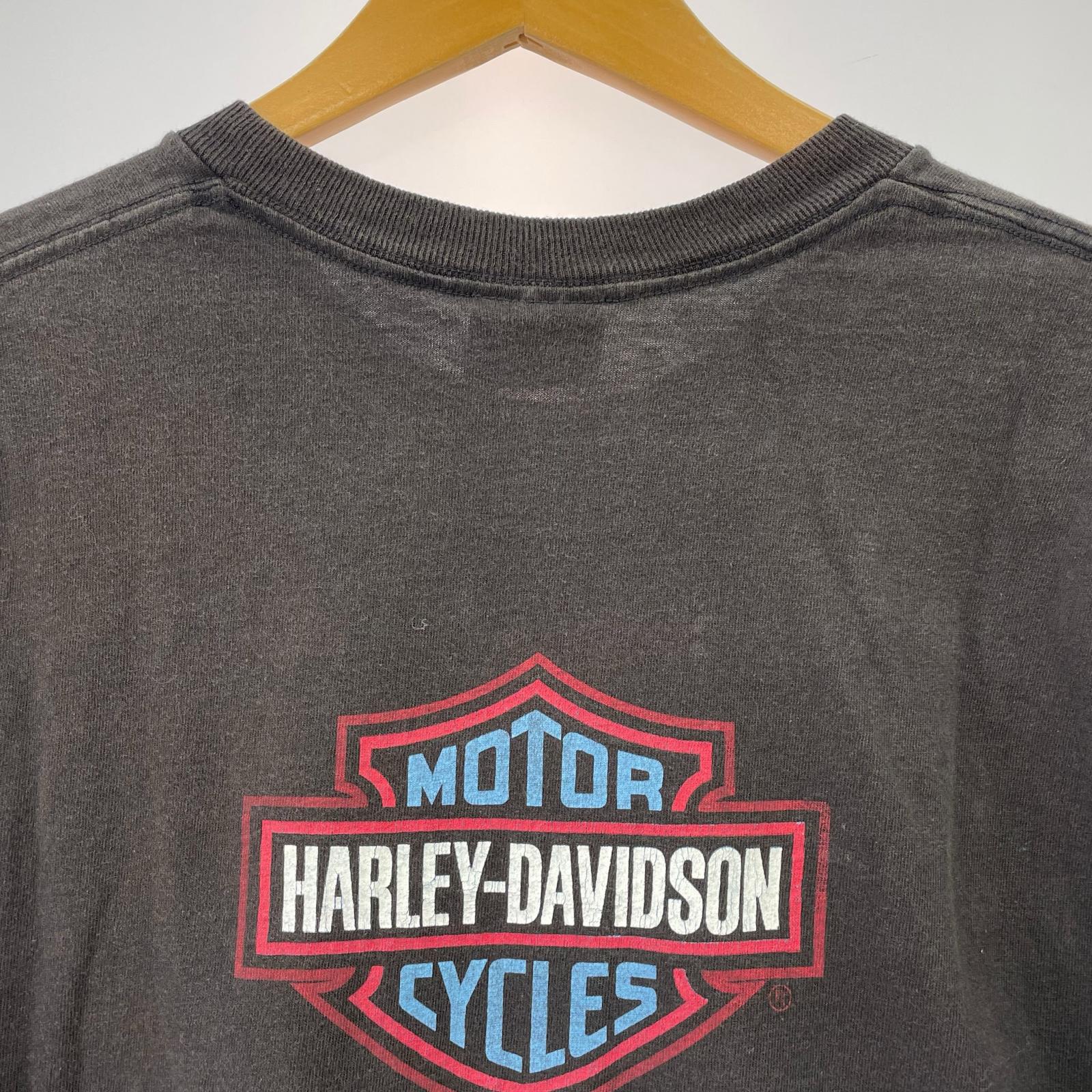 半袖Tシャツ 90s USA製 HARLEY-DAVIDSON バイクプリント (L) L ブラック