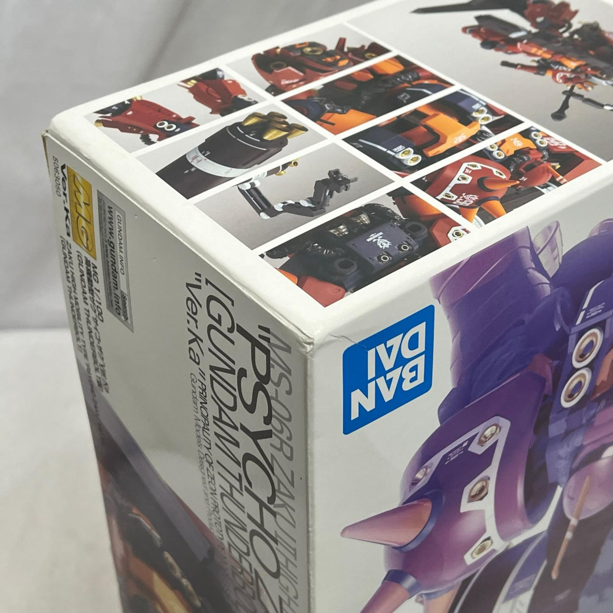 MG 高機動型ザク サイコ・ザク Ver.Ka 機動戦士ガンダム サンダーボルト バンダイスピリッツ ガンプラ