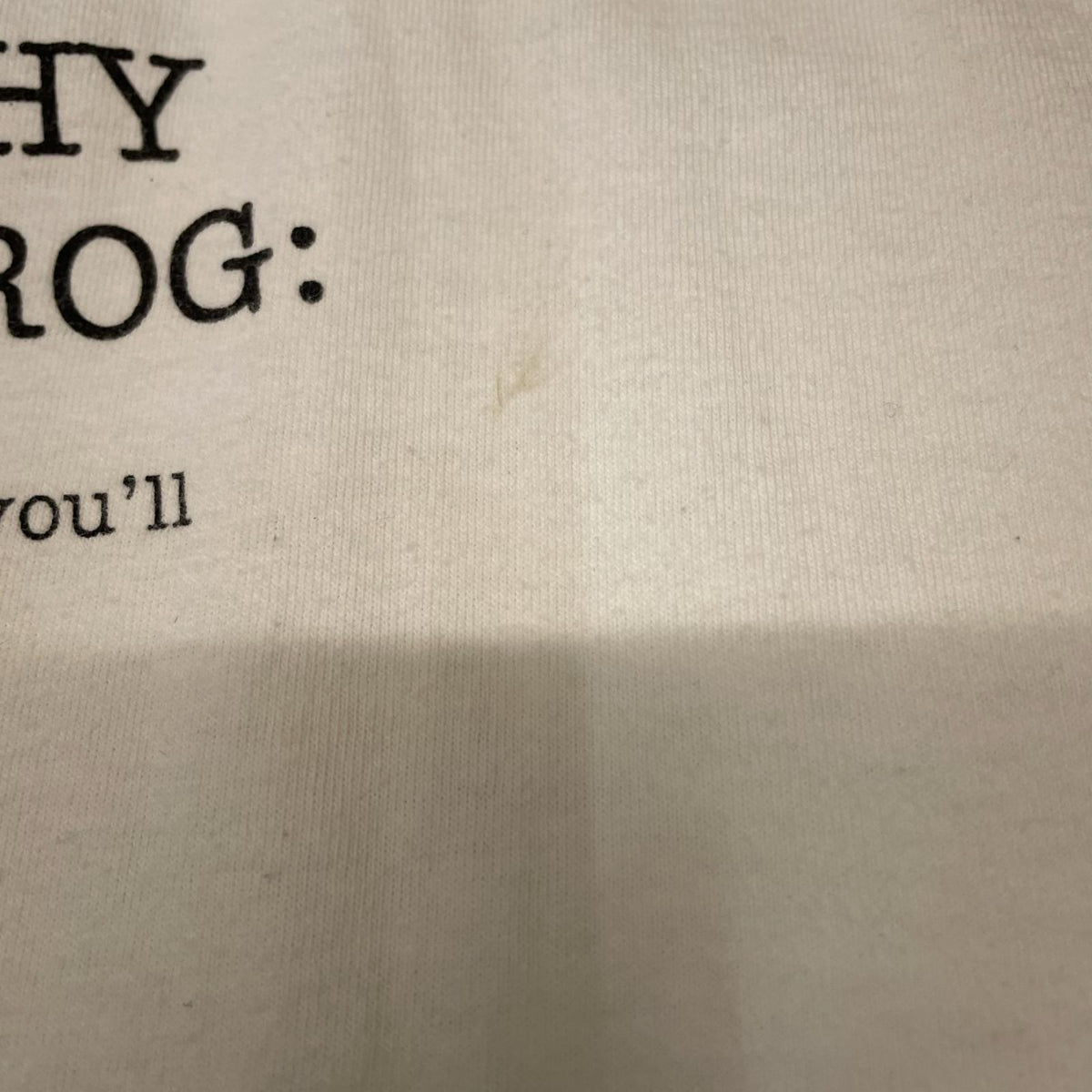 半袖Tシャツ 90s TOO LATE with Kermit Letterfrog パロディTシャツChange'sタグ LL ホワイト