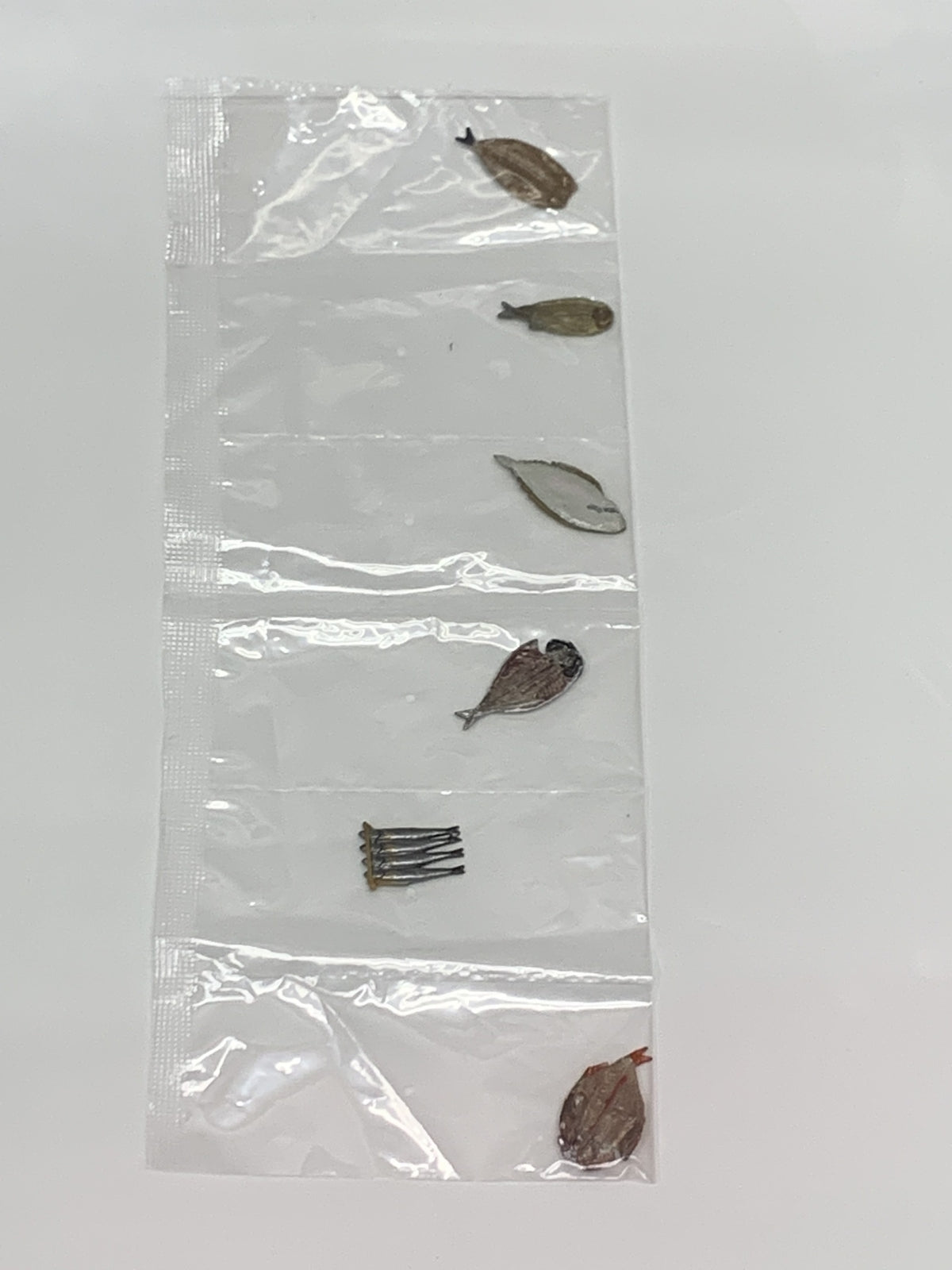 リーメント うまいもん市場 静岡 沼津ひもの その他小物