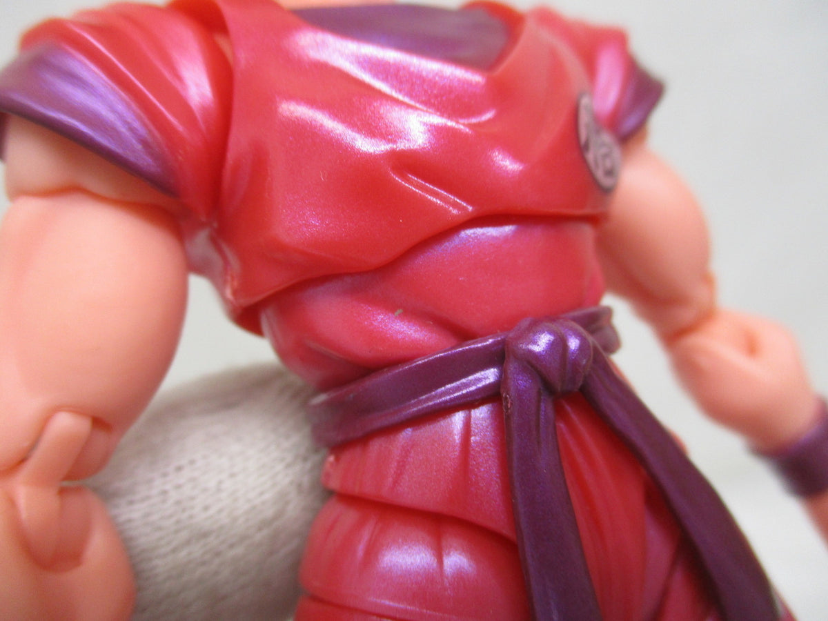 フィギュアーツ 界王拳 フィギュア/グッズ