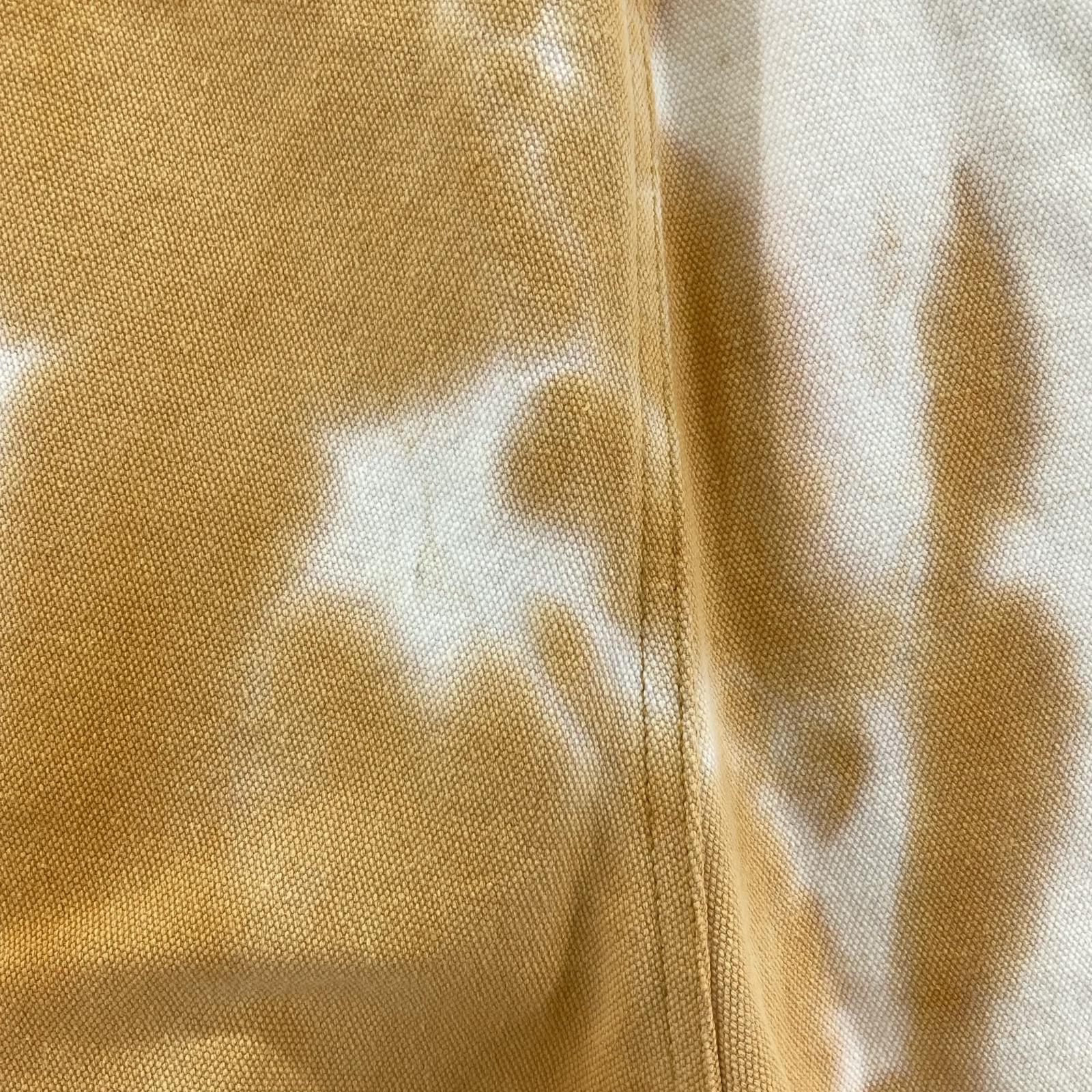 パンツ stussy dyed canvas beach pant (L) L