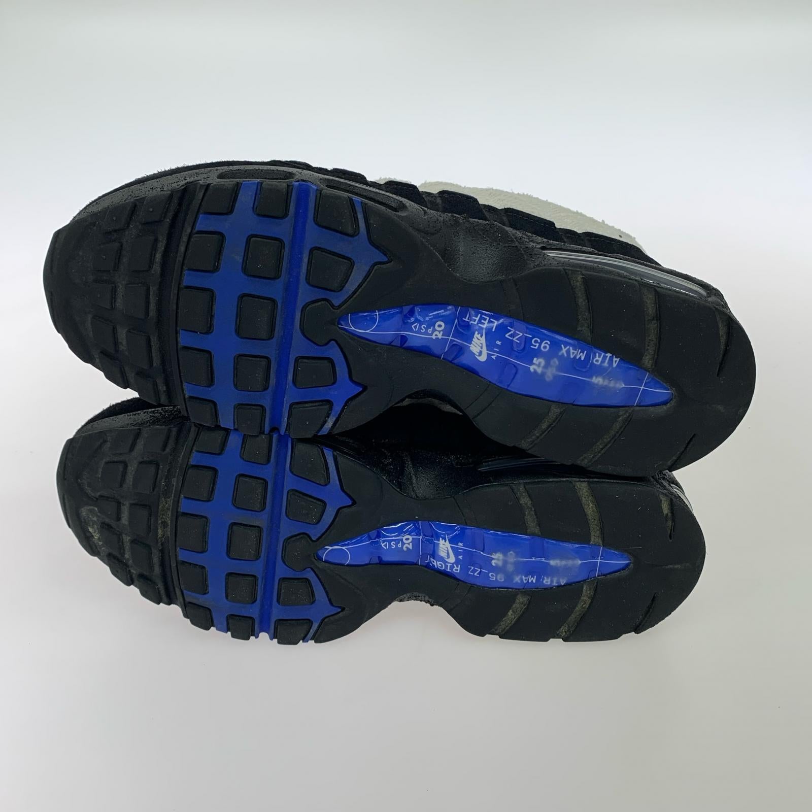 スニーカー Air Max 95 Big Bubble Paris 29.0cm 29cm (US11 UK10 1/2 EU48) ホワイト