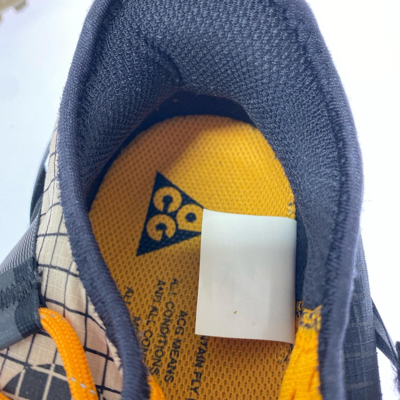 スニーカー ACG MOUNTAIN FLY LOW 28cm (US10 UK9 1/2 EU46)