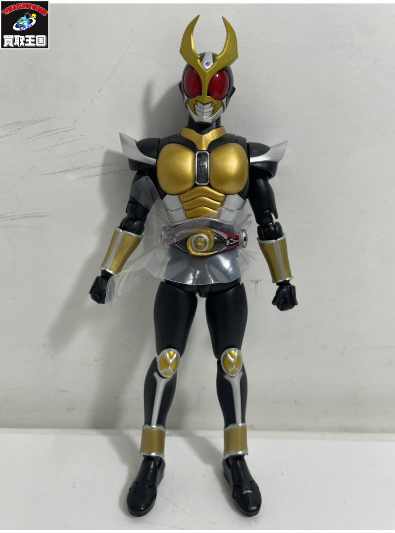 S.H.Figuarts 仮面ライダー アギト グランドフォーム フィギュア/グッズ