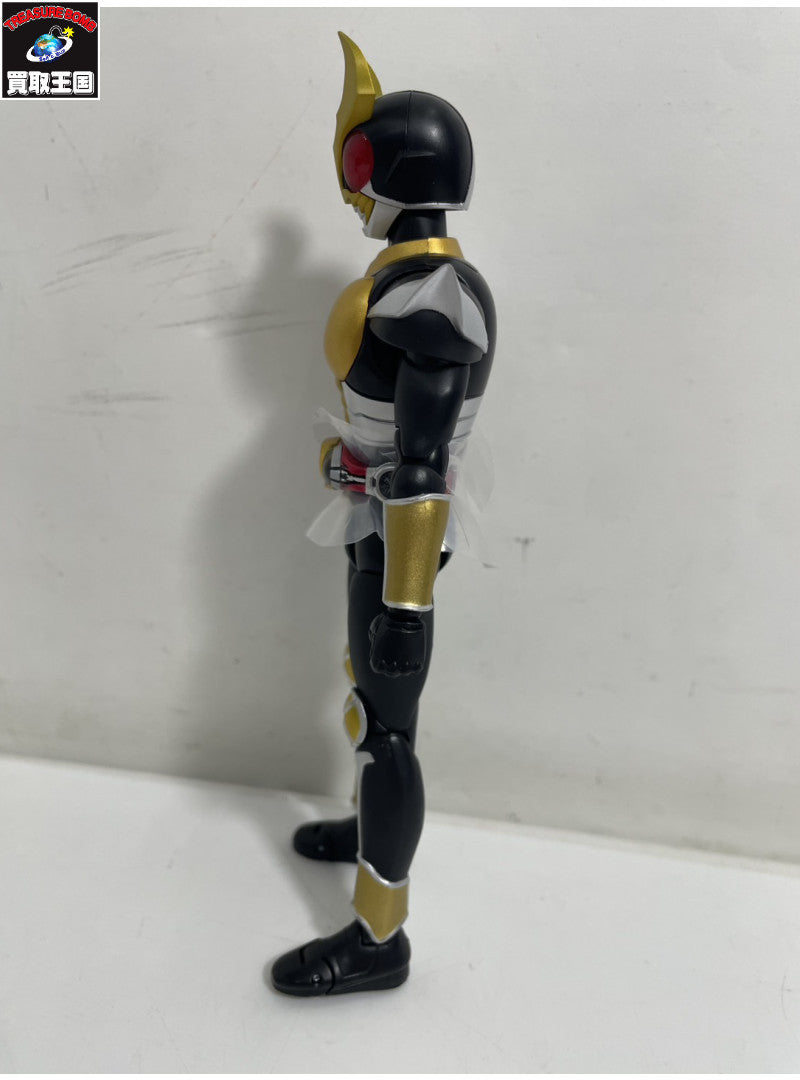 S.H.Figuarts 仮面ライダー アギト グランドフォーム フィギュア/グッズ